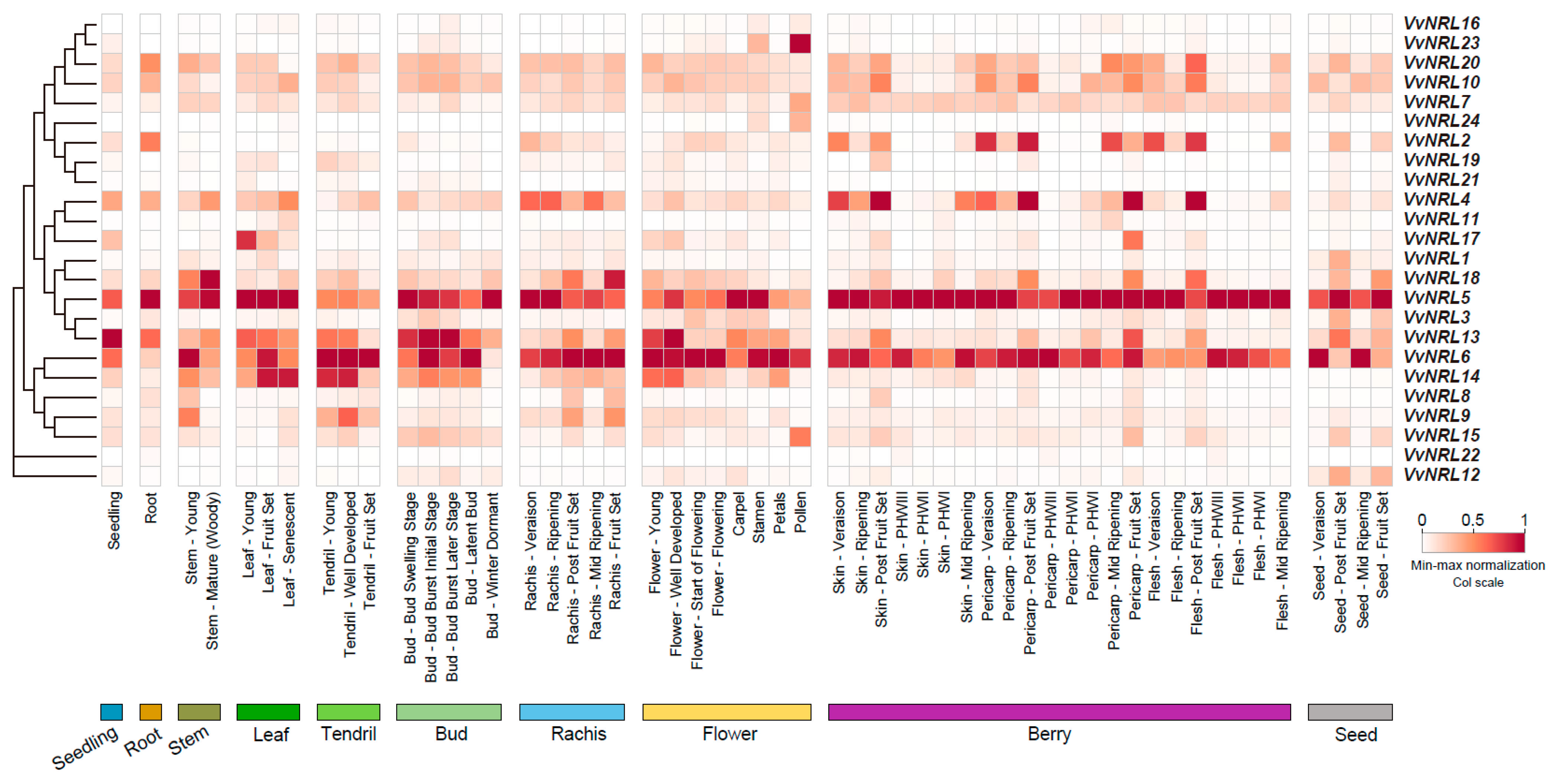 Horticulturae 11 00274 g003
