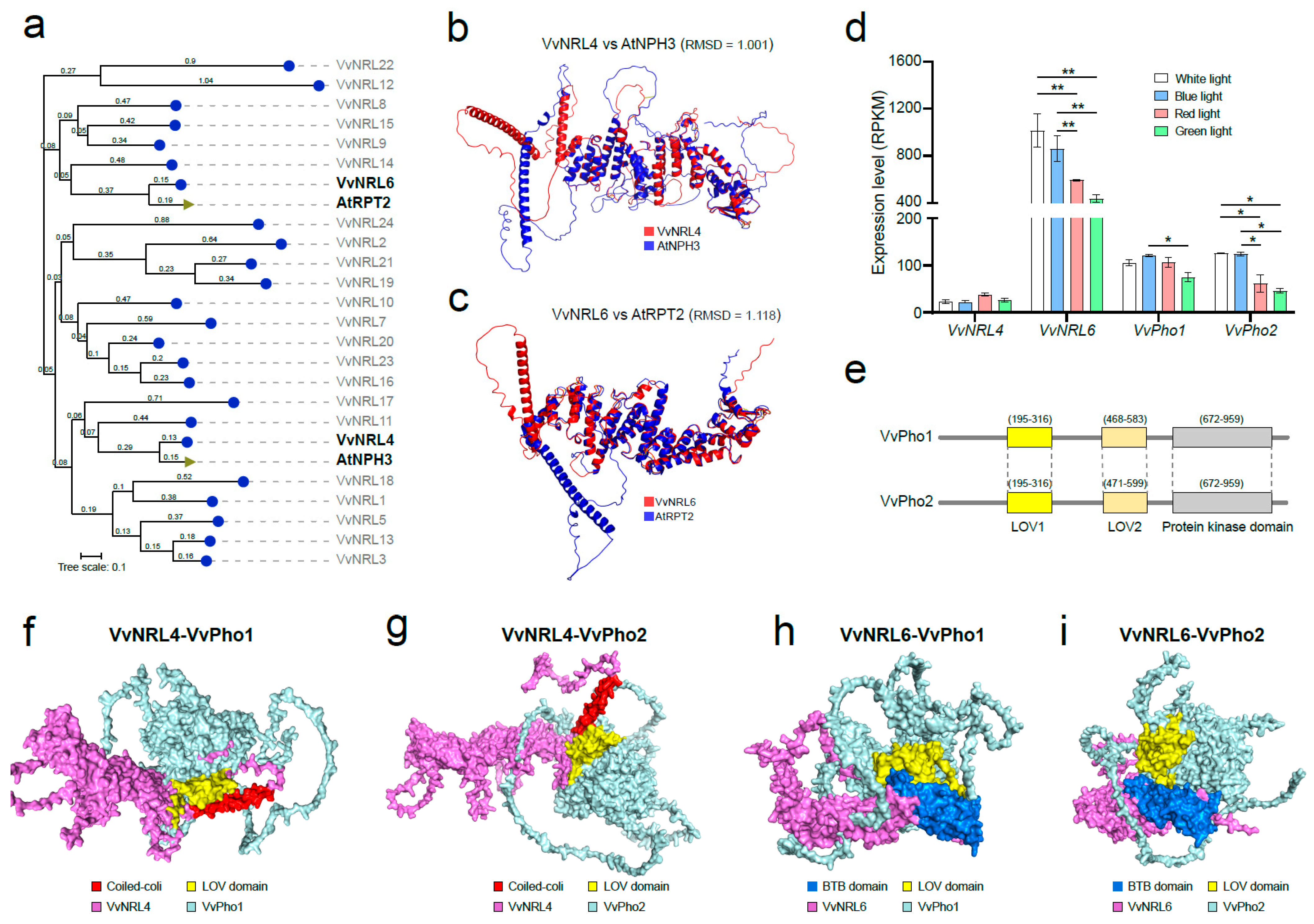 Horticulturae 11 00274 g006