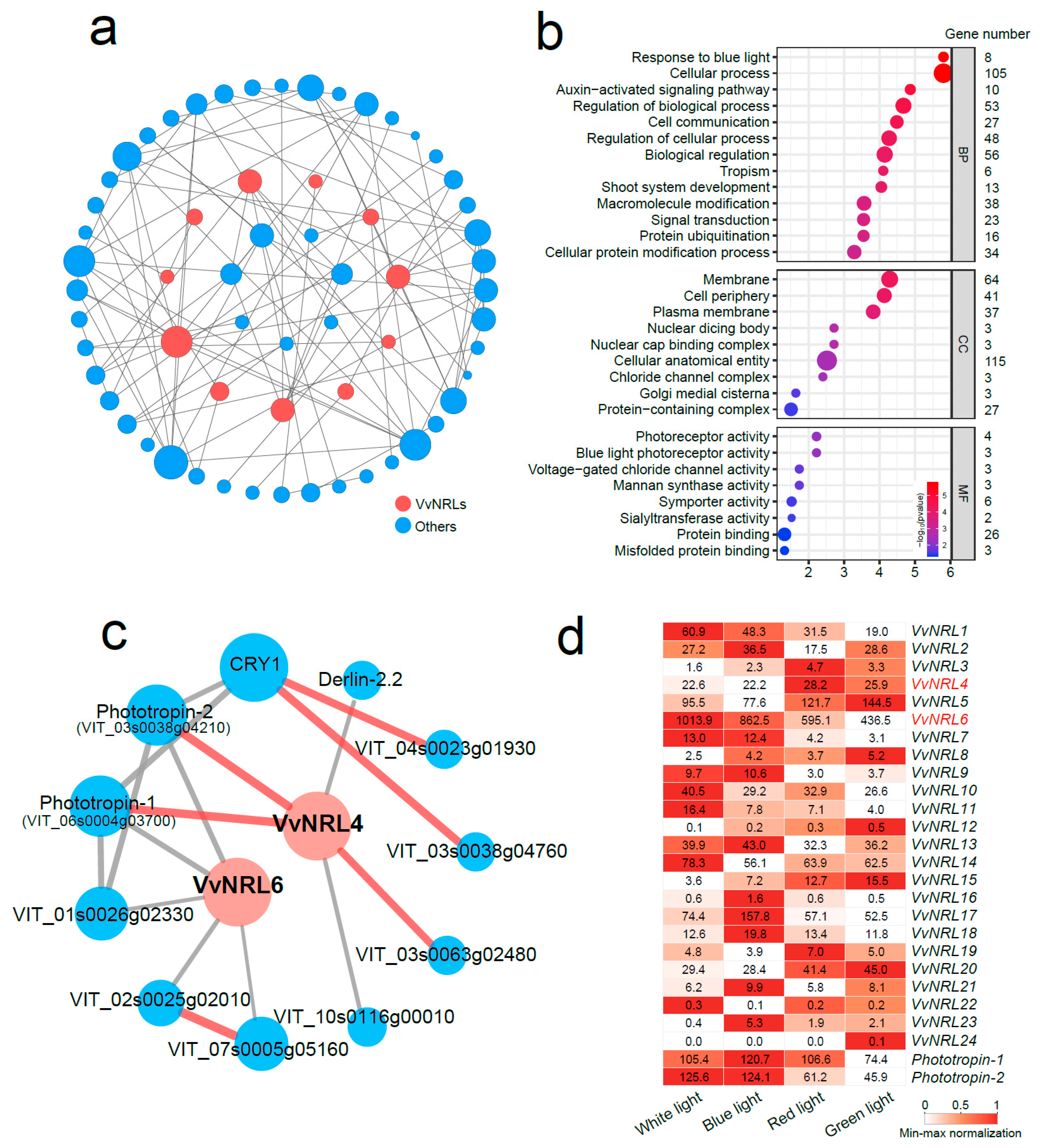Horticulturae 11 00274 g007