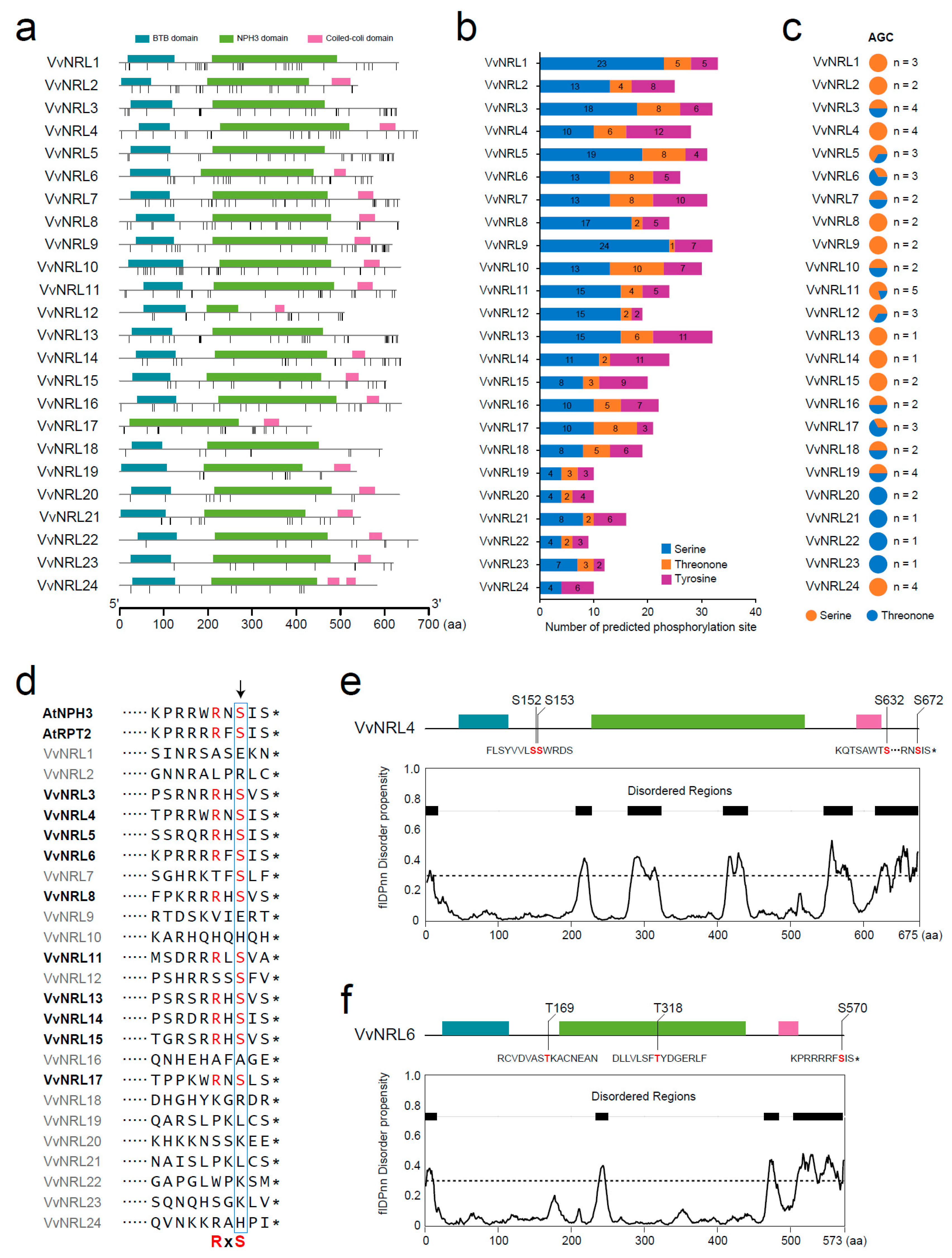 Horticulturae 11 00274 g008