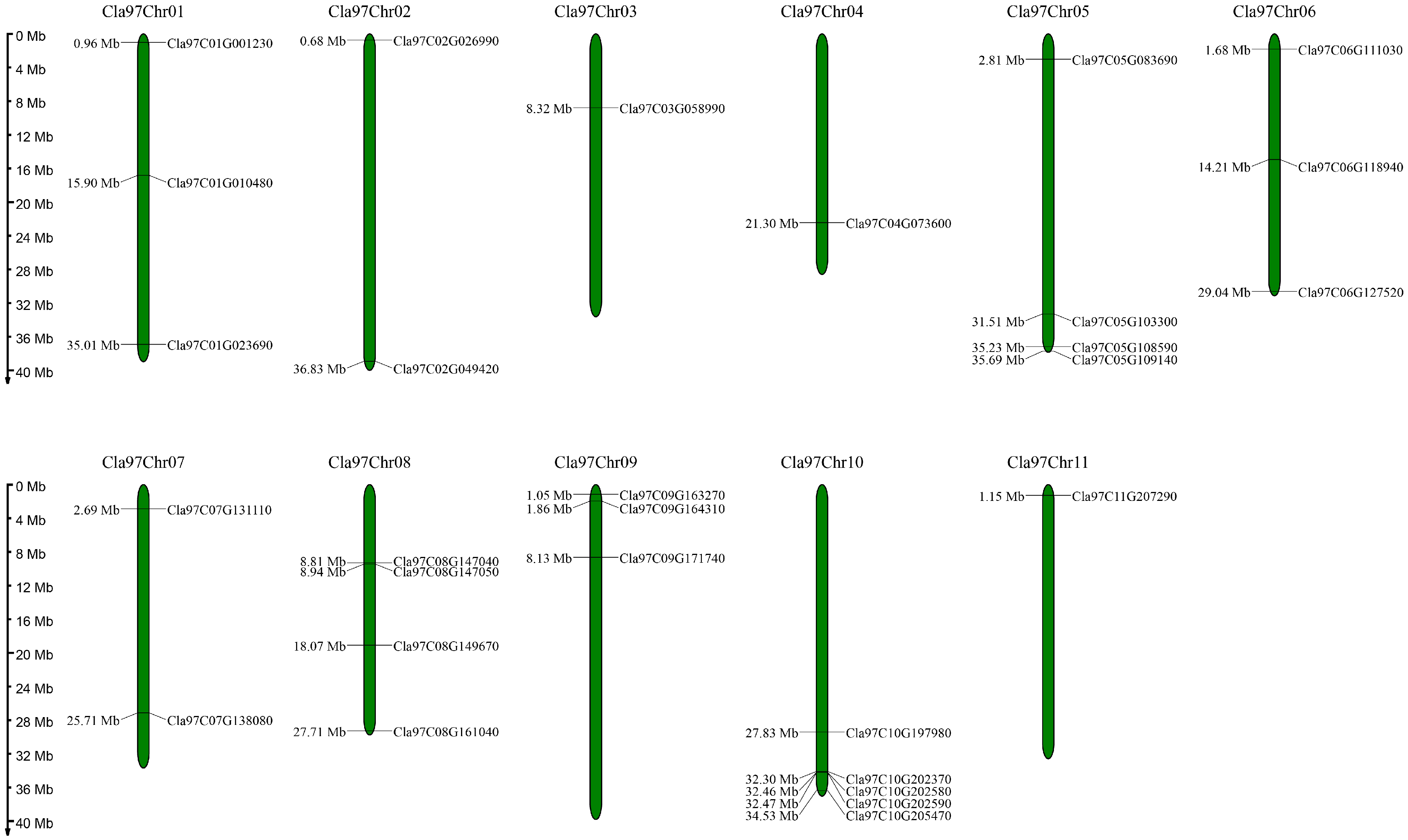 Horticulturae 11 00275 g001