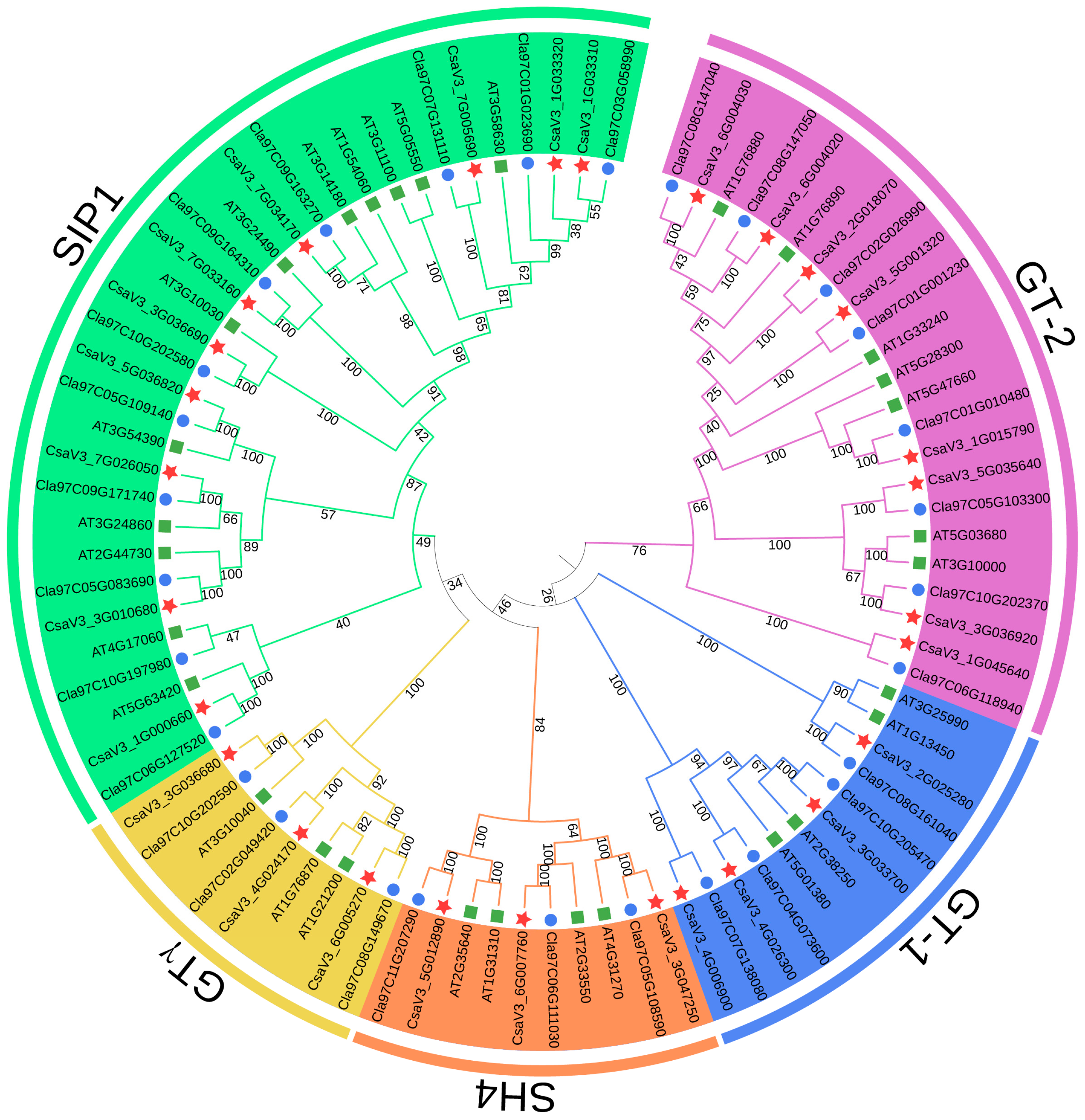 Horticulturae 11 00275 g002