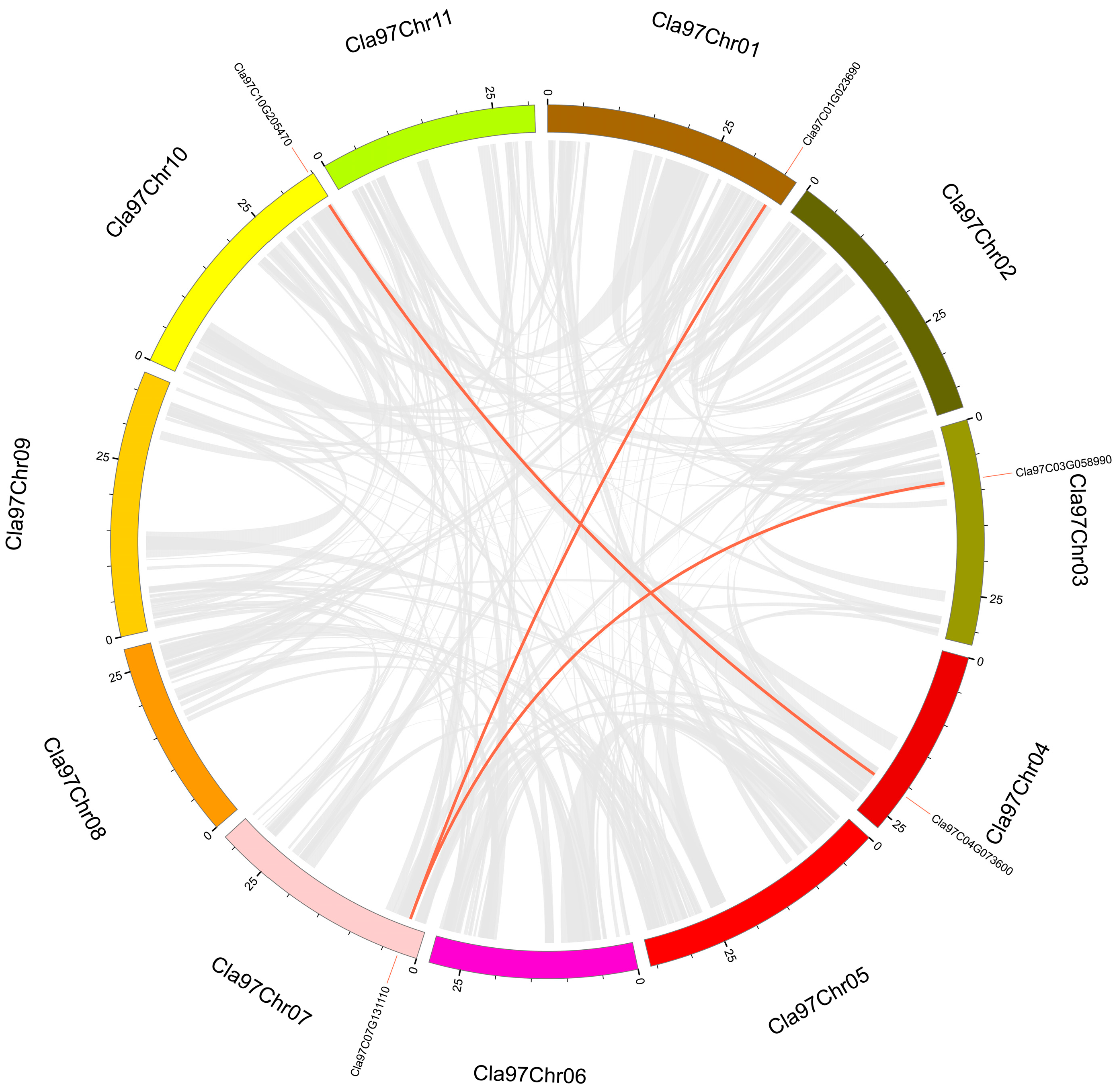 Horticulturae 11 00275 g004