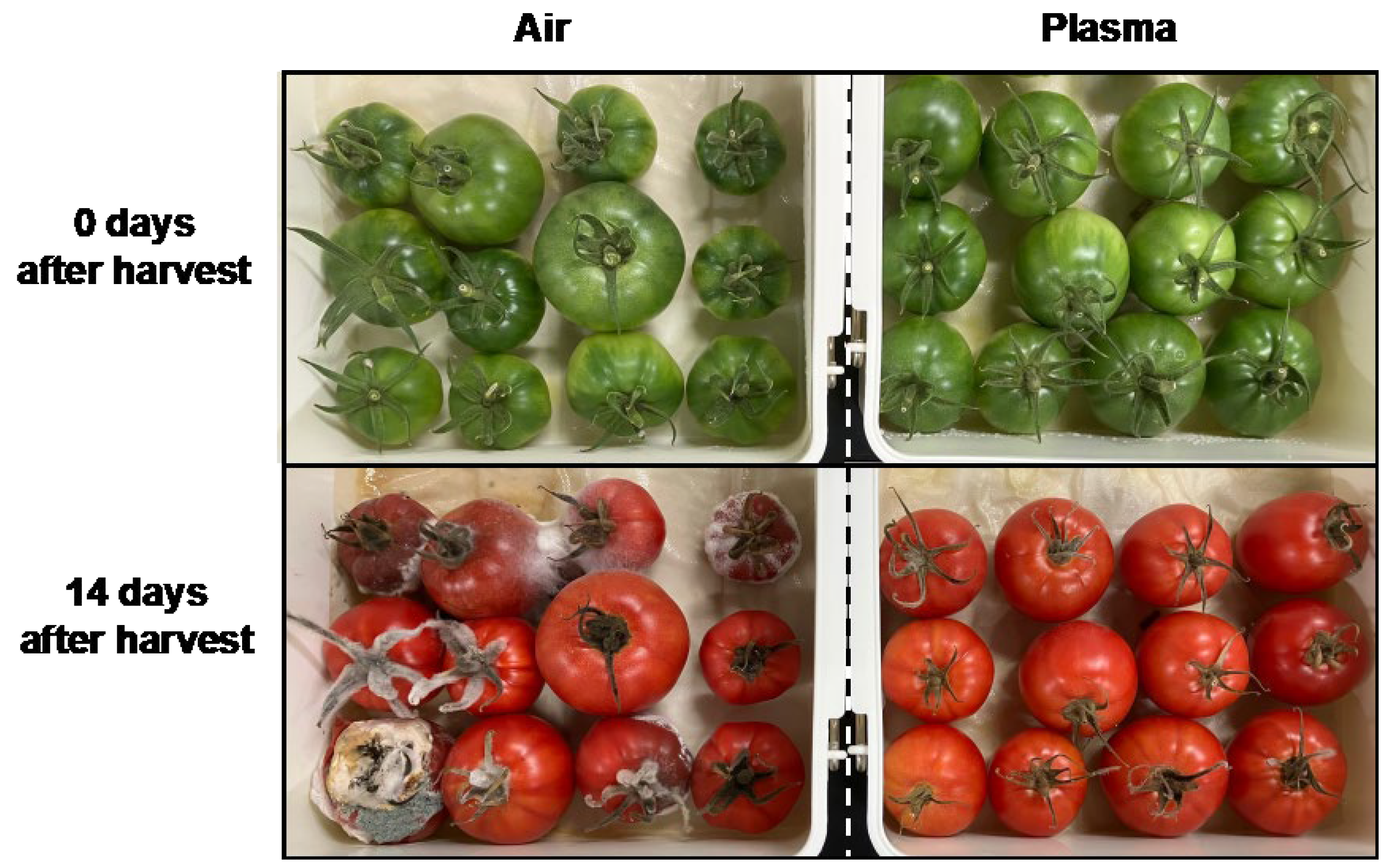 Horticulturae 11 00276 g005