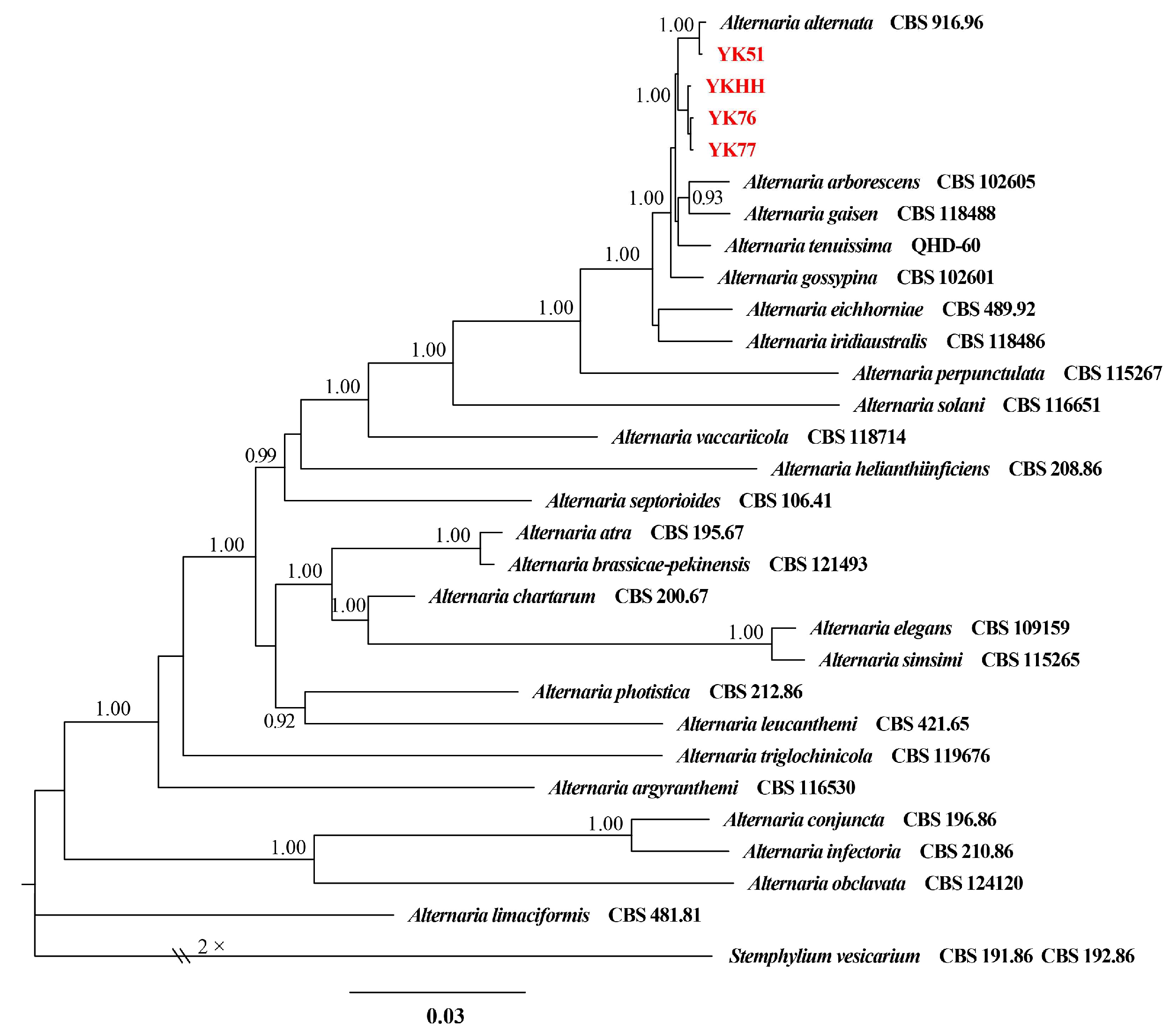 Horticulturae 11 00279 g002 Horticulturae 11 00279 g002
