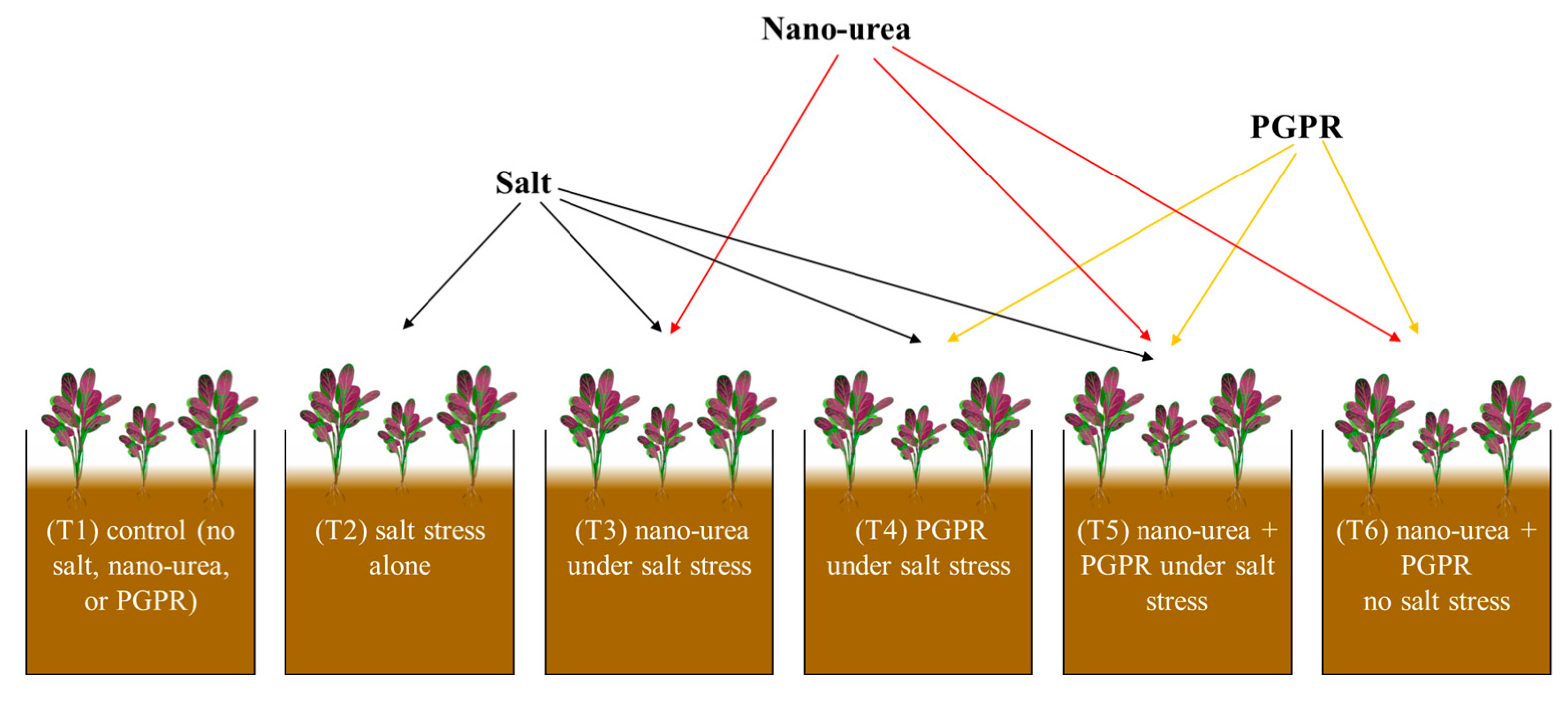 Horticulturae 11 00280 g001