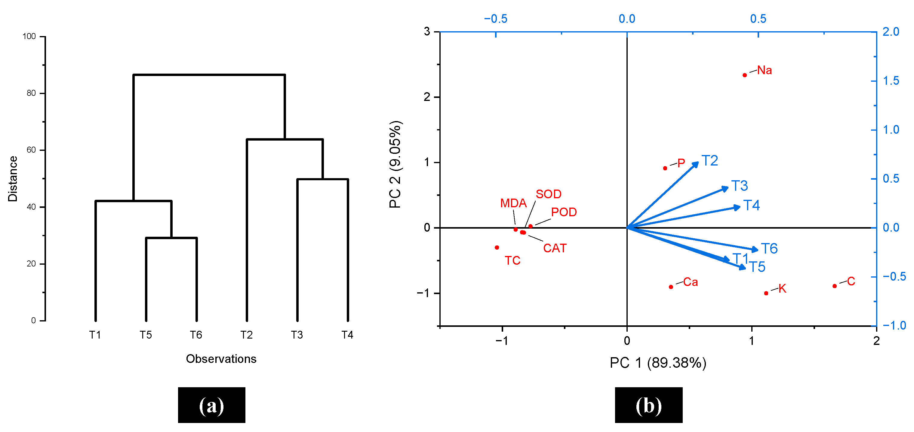 Horticulturae 11 00280 g004