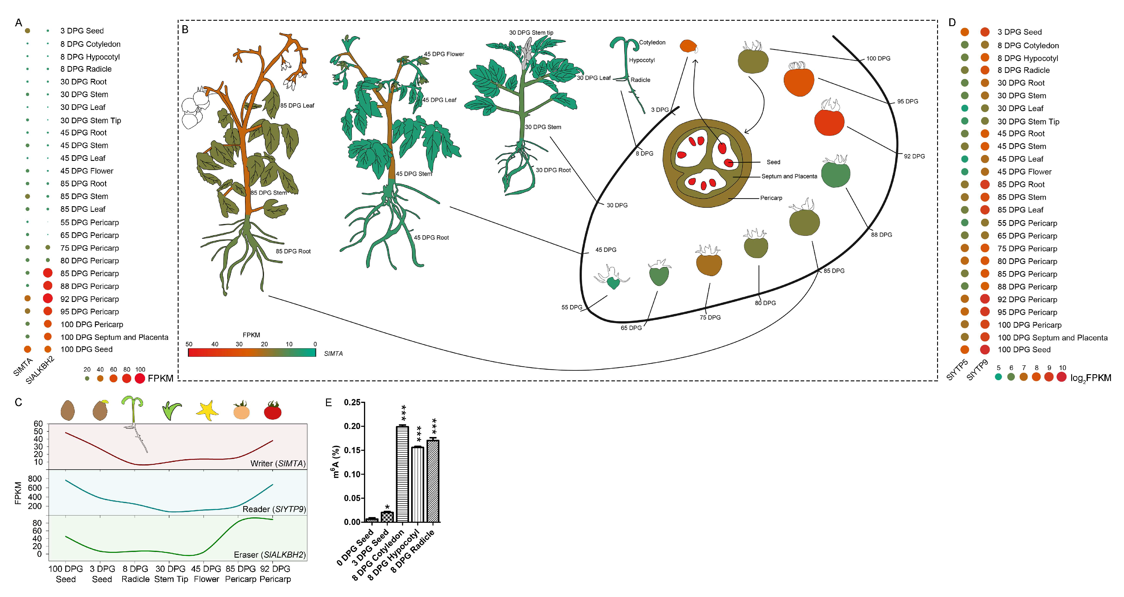 Horticulturae 11 00282 g001