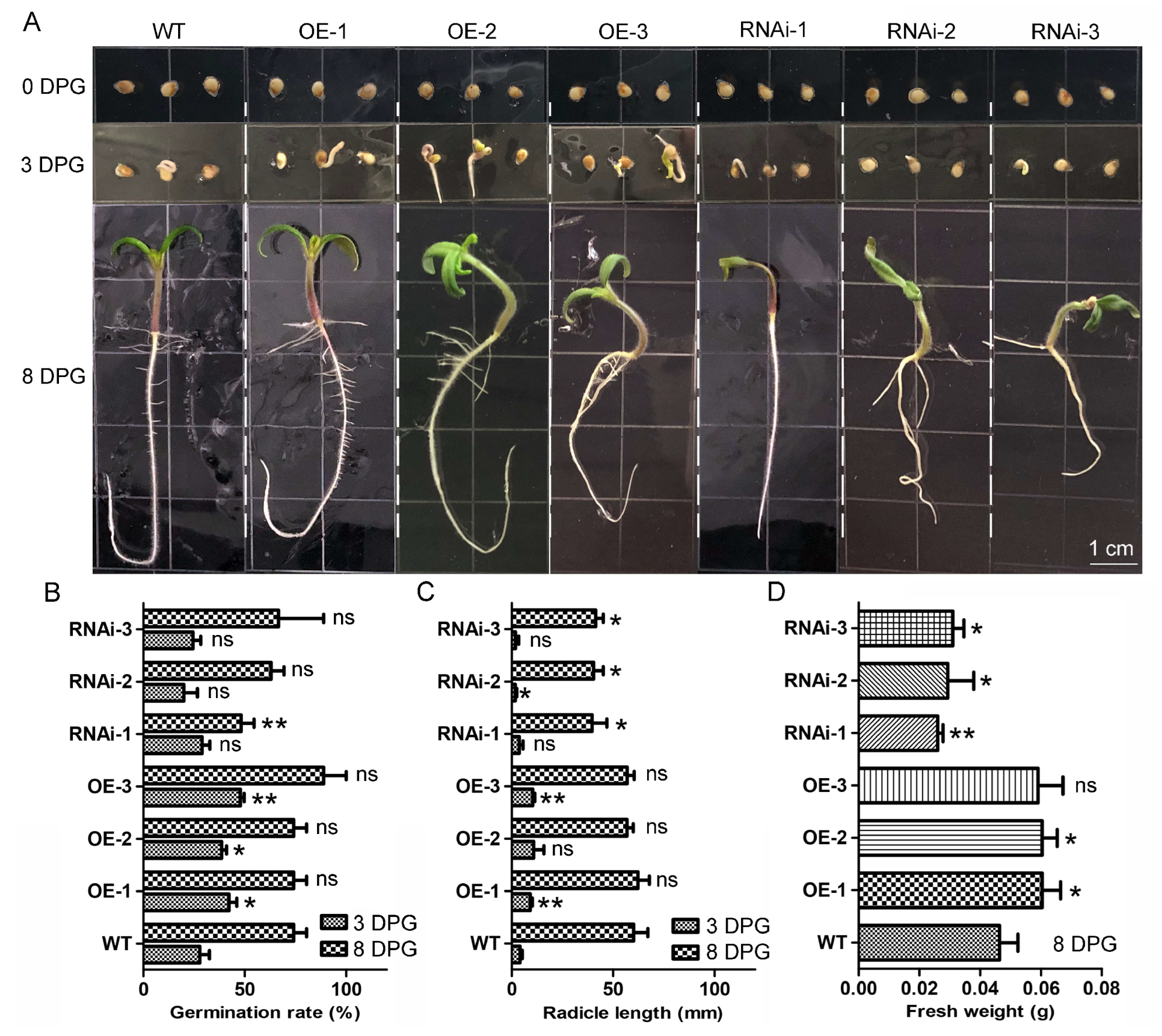 Horticulturae 11 00282 g002