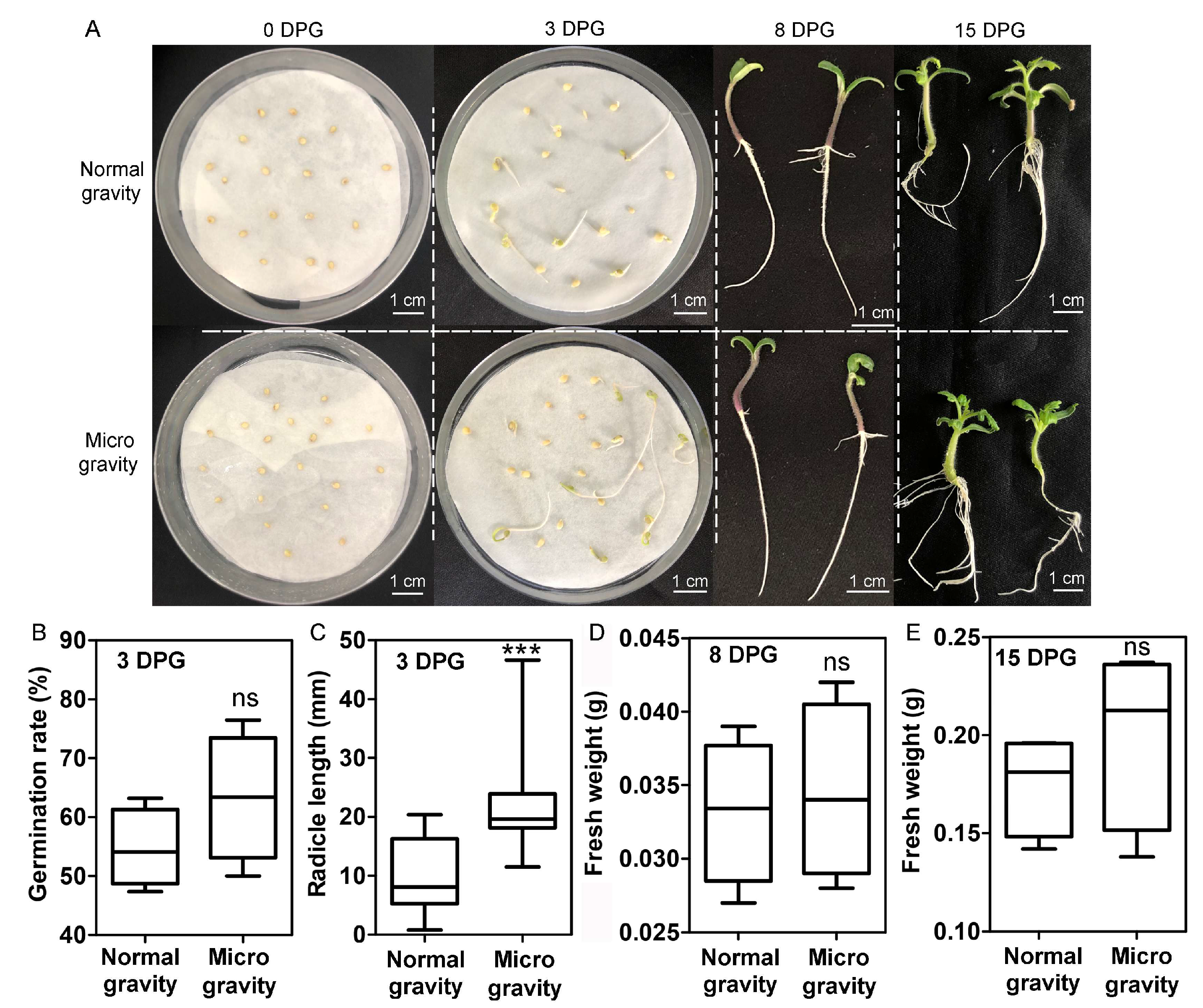Horticulturae 11 00282 g003