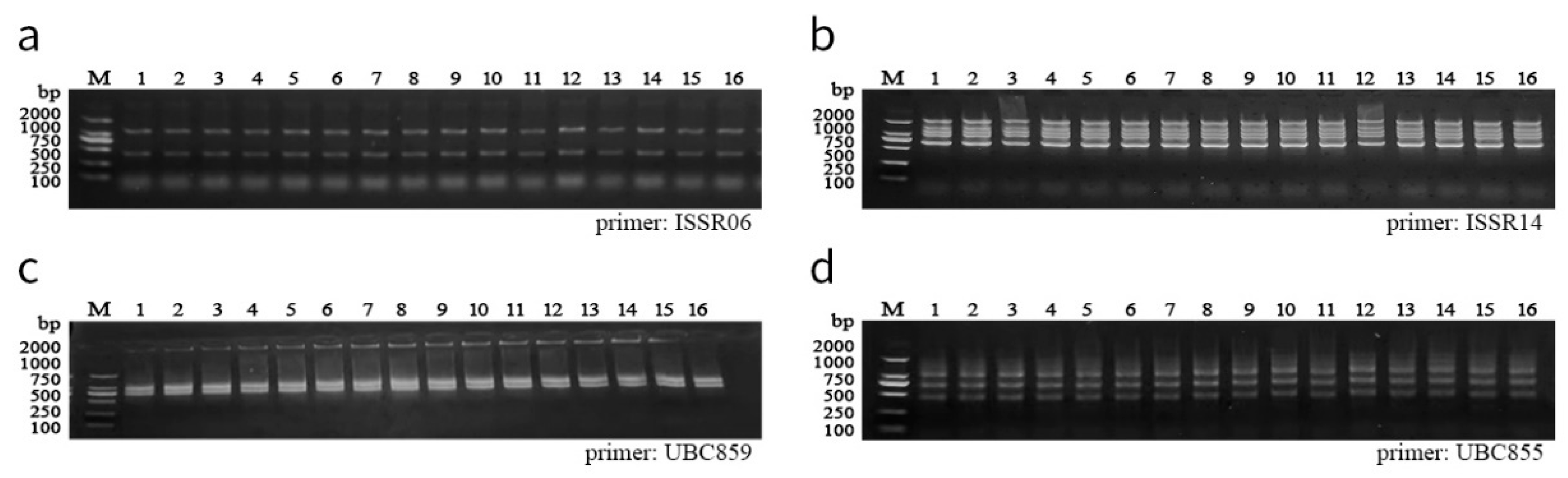 Horticulturae 11 00283 g007