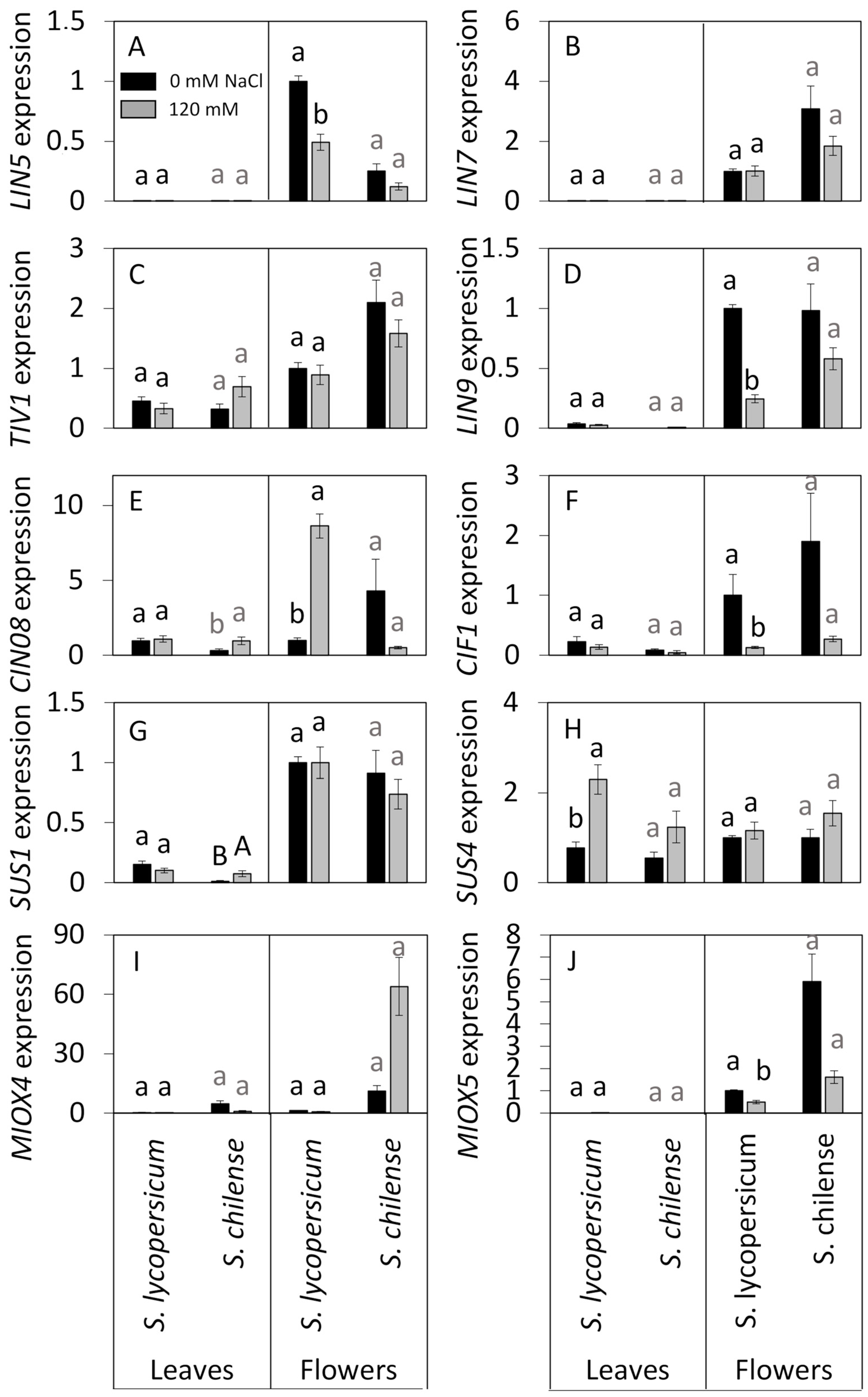 Horticulturae 11 00285 g007