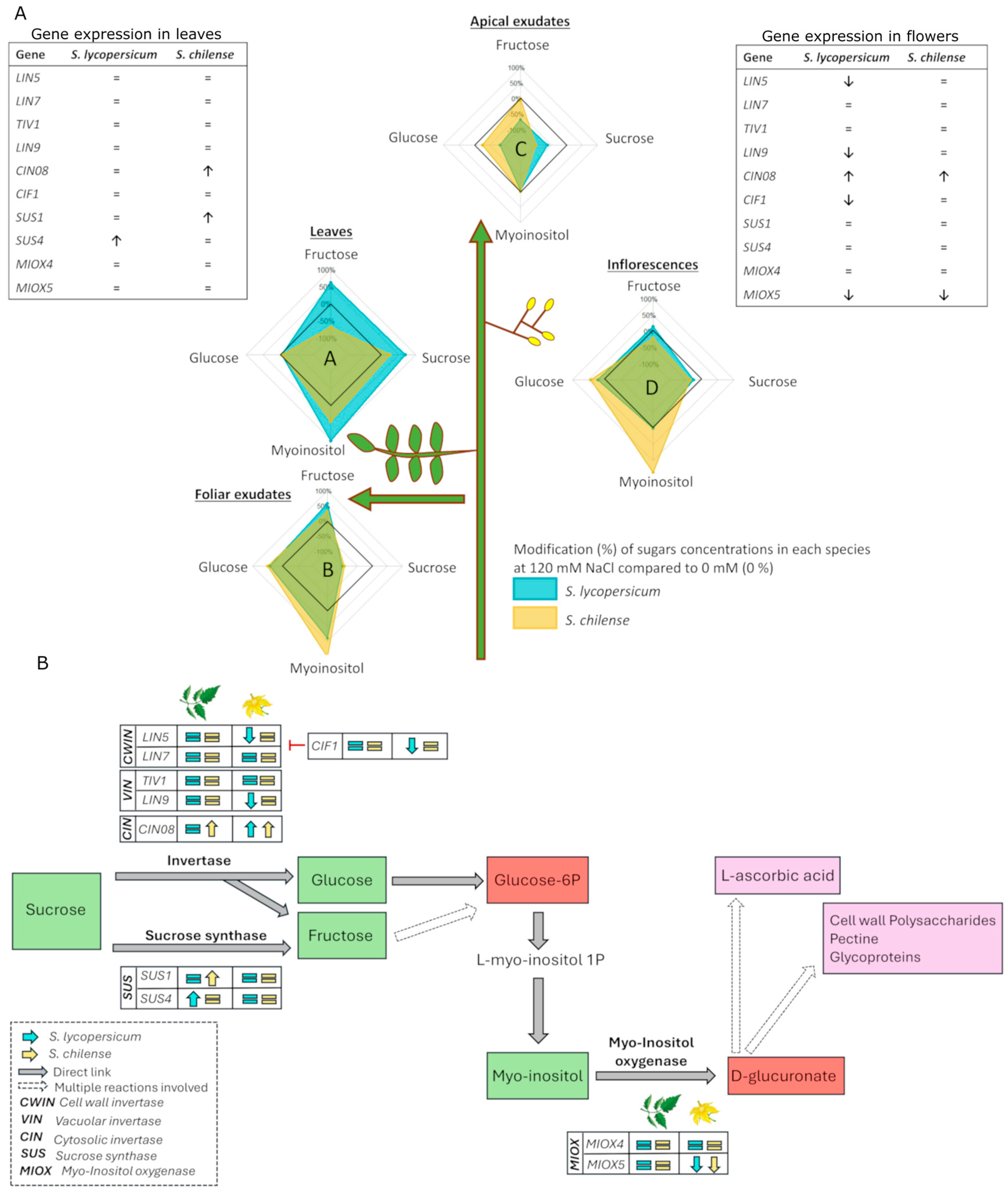 Horticulturae 11 00285 g009
