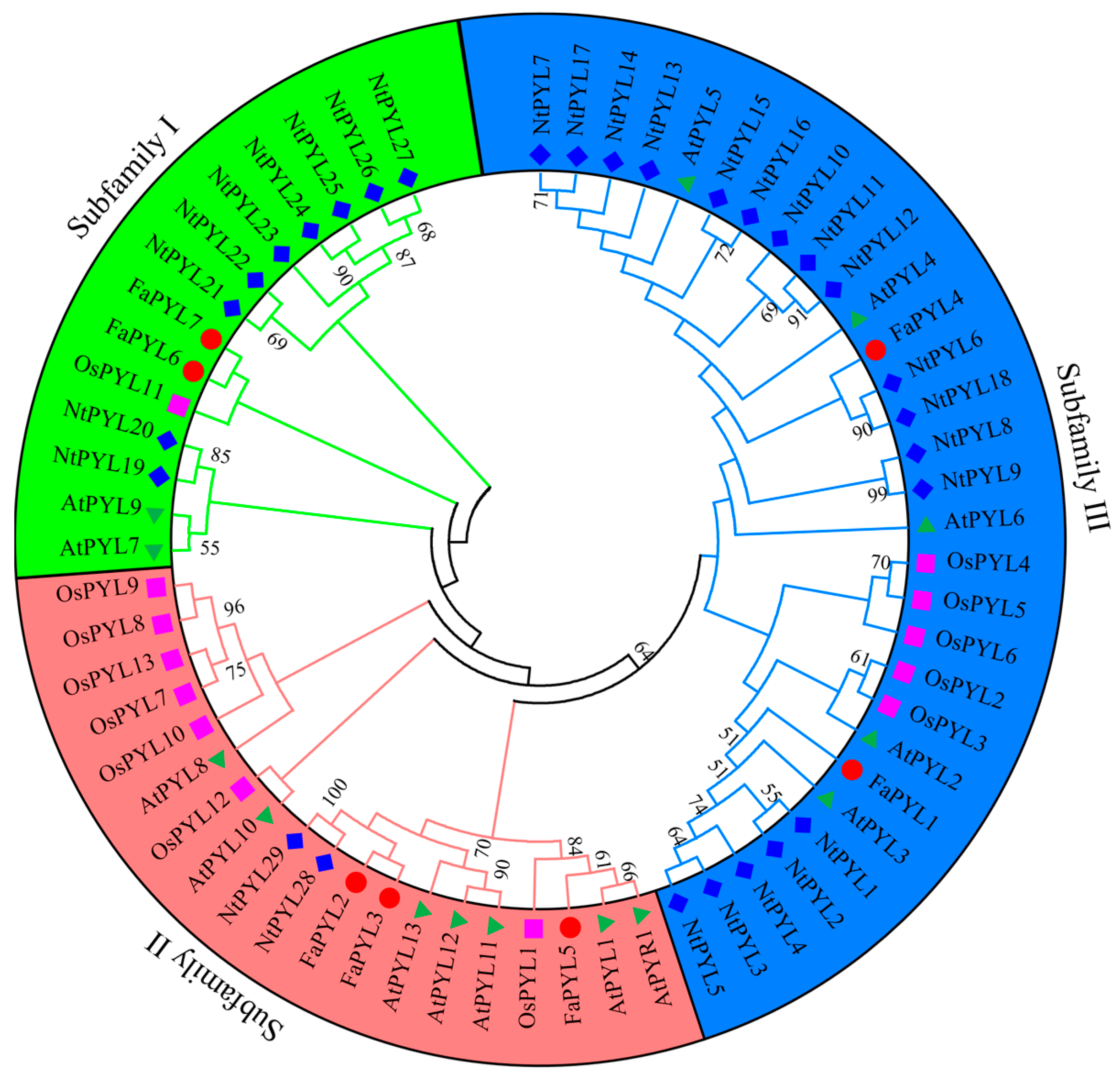 Horticulturae 11 00292 g001