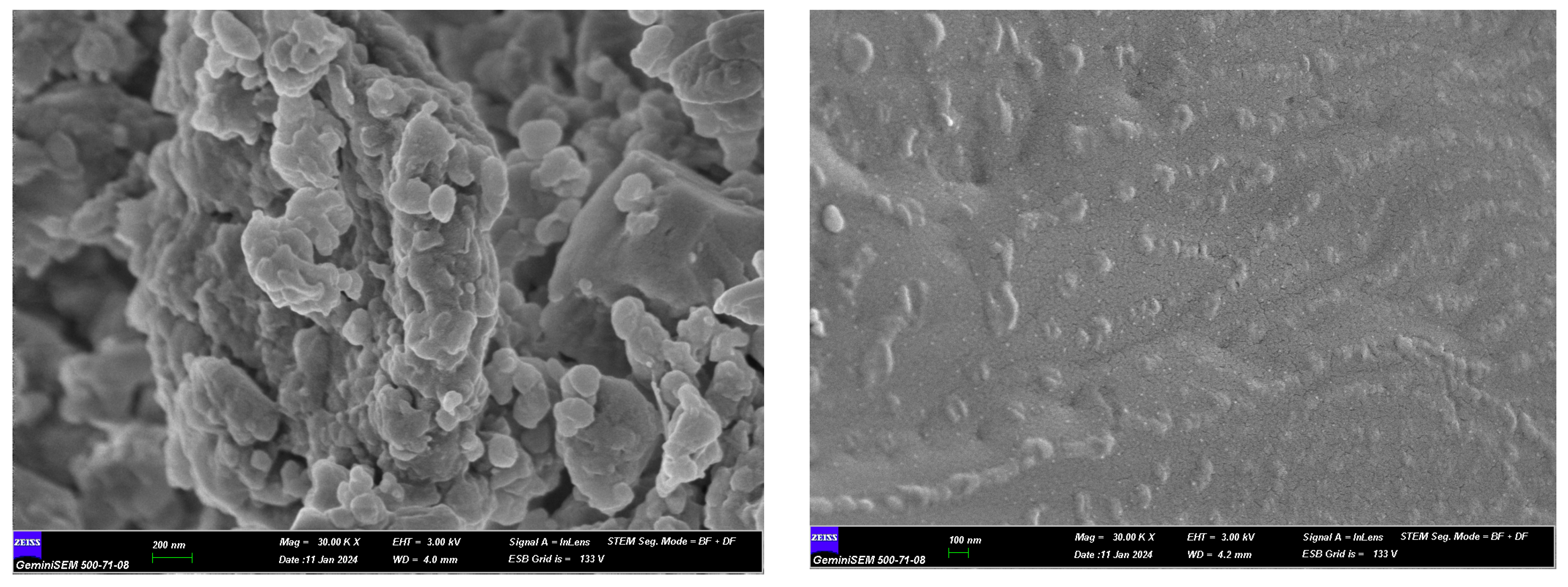 Horticulturae 11 00303 g006