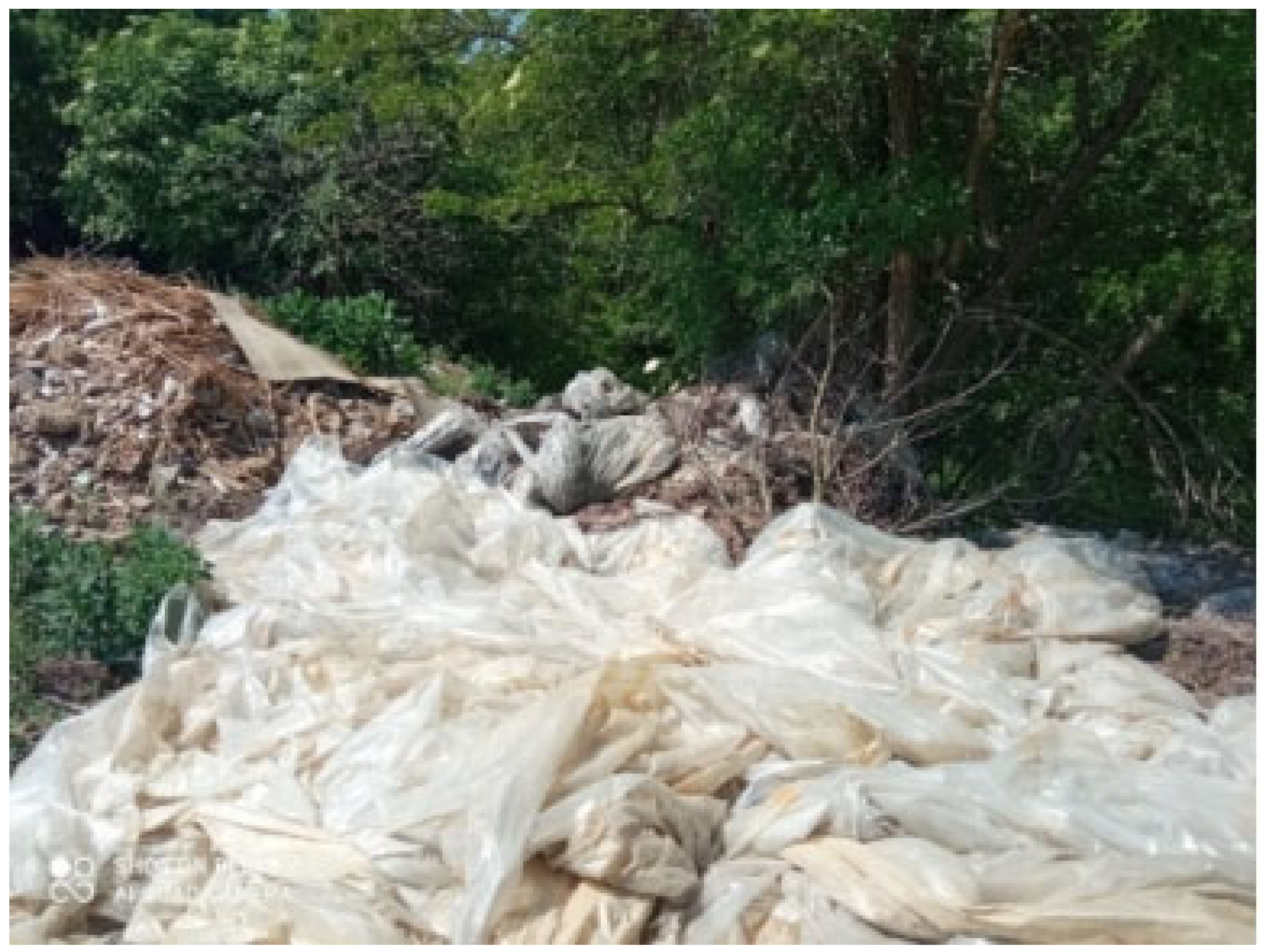 Horticulturae 11 00305 g001