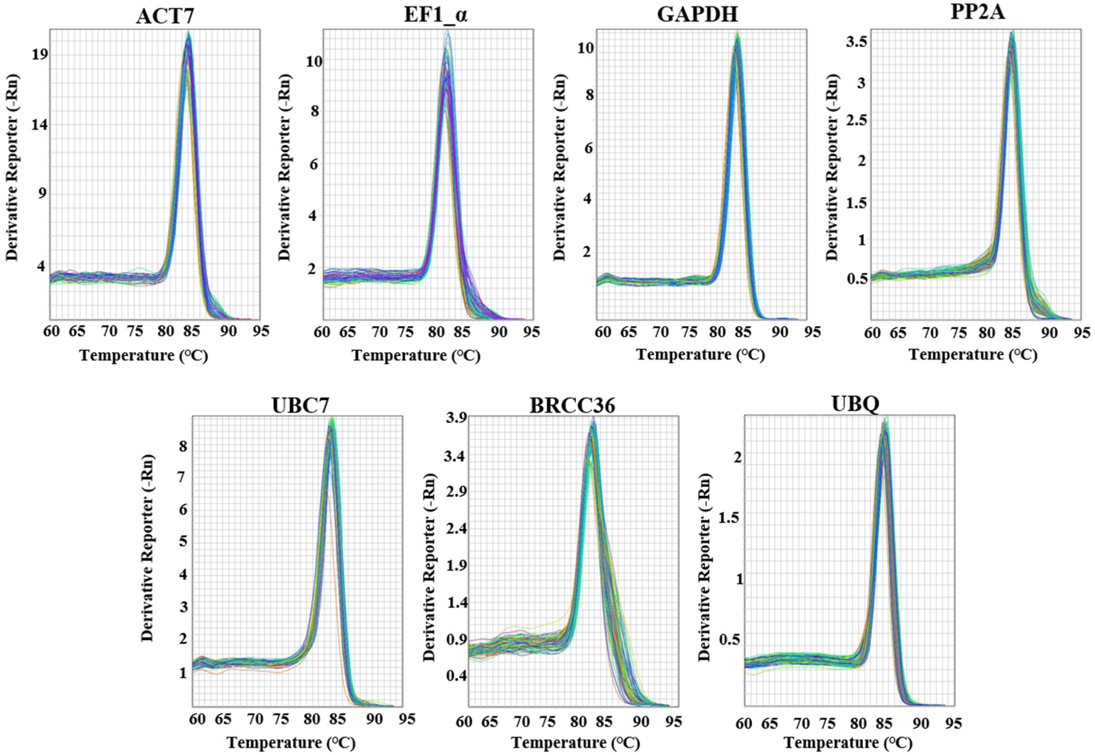 Horticulturae 11 00313 g001