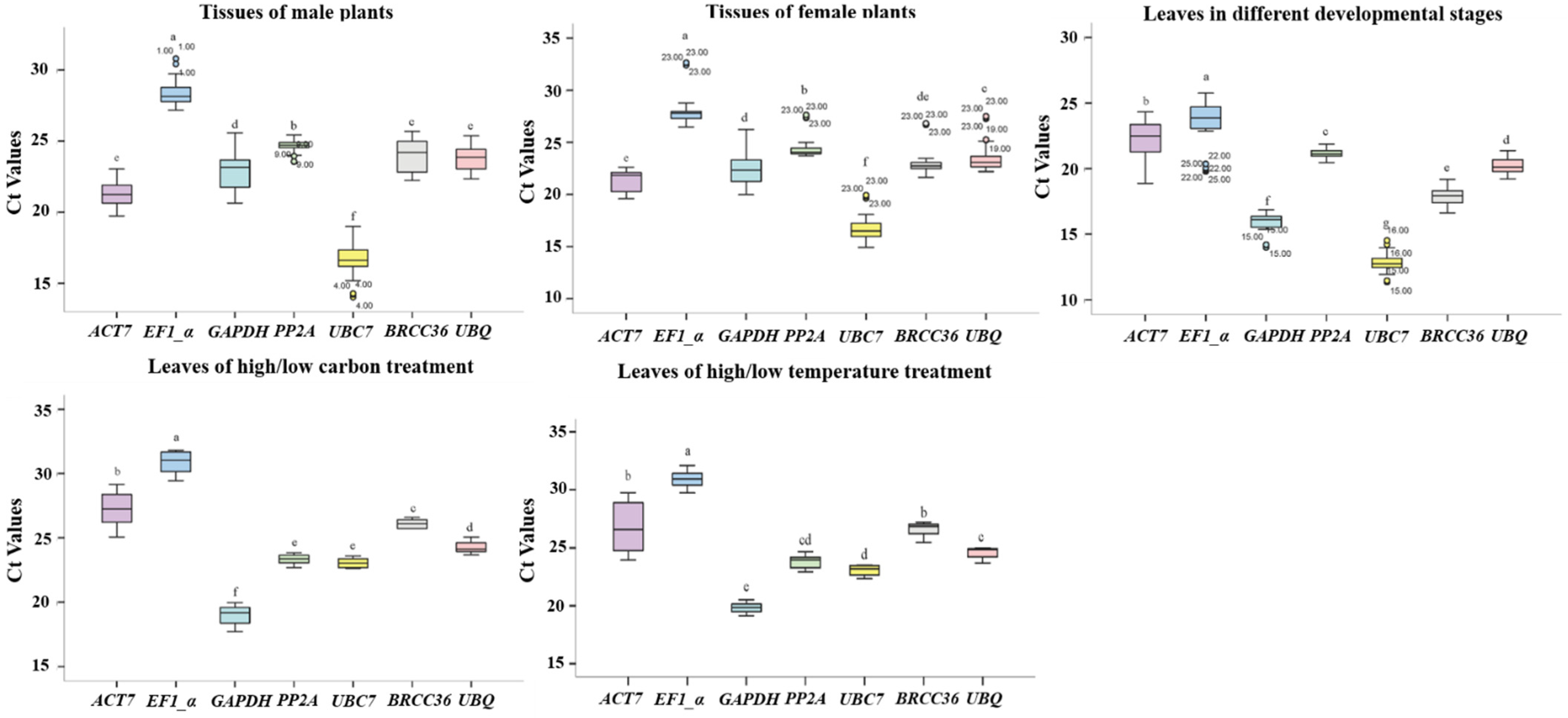 Horticulturae 11 00313 g002