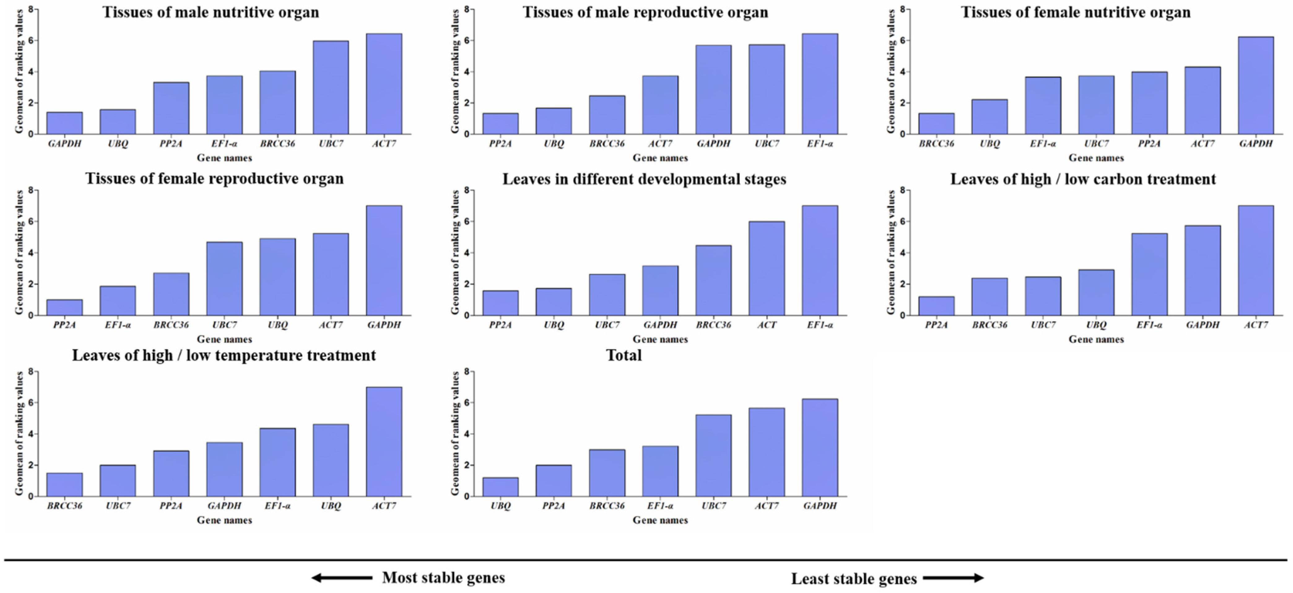 Horticulturae 11 00313 g008