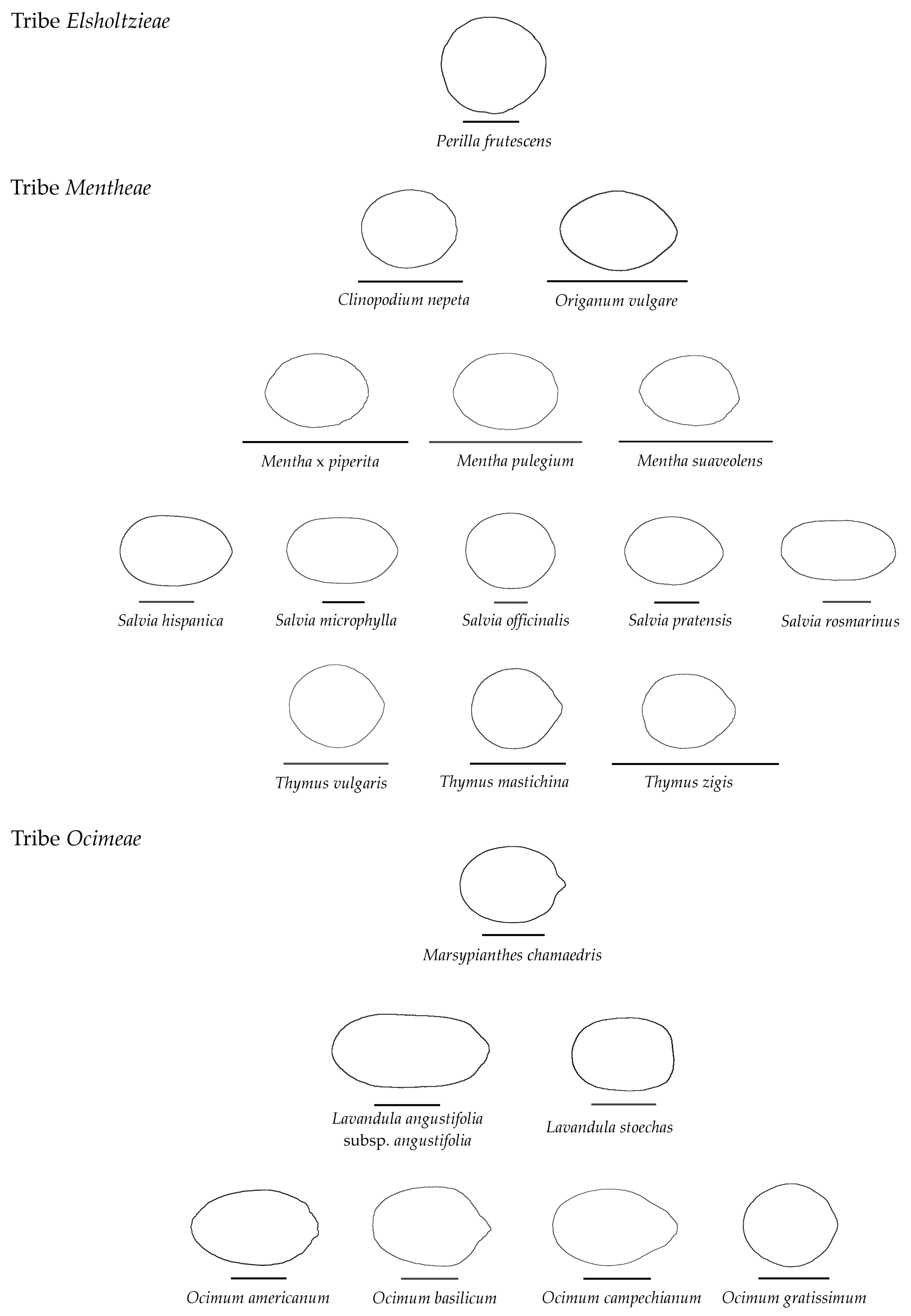Horticulturae 11 00315 g005