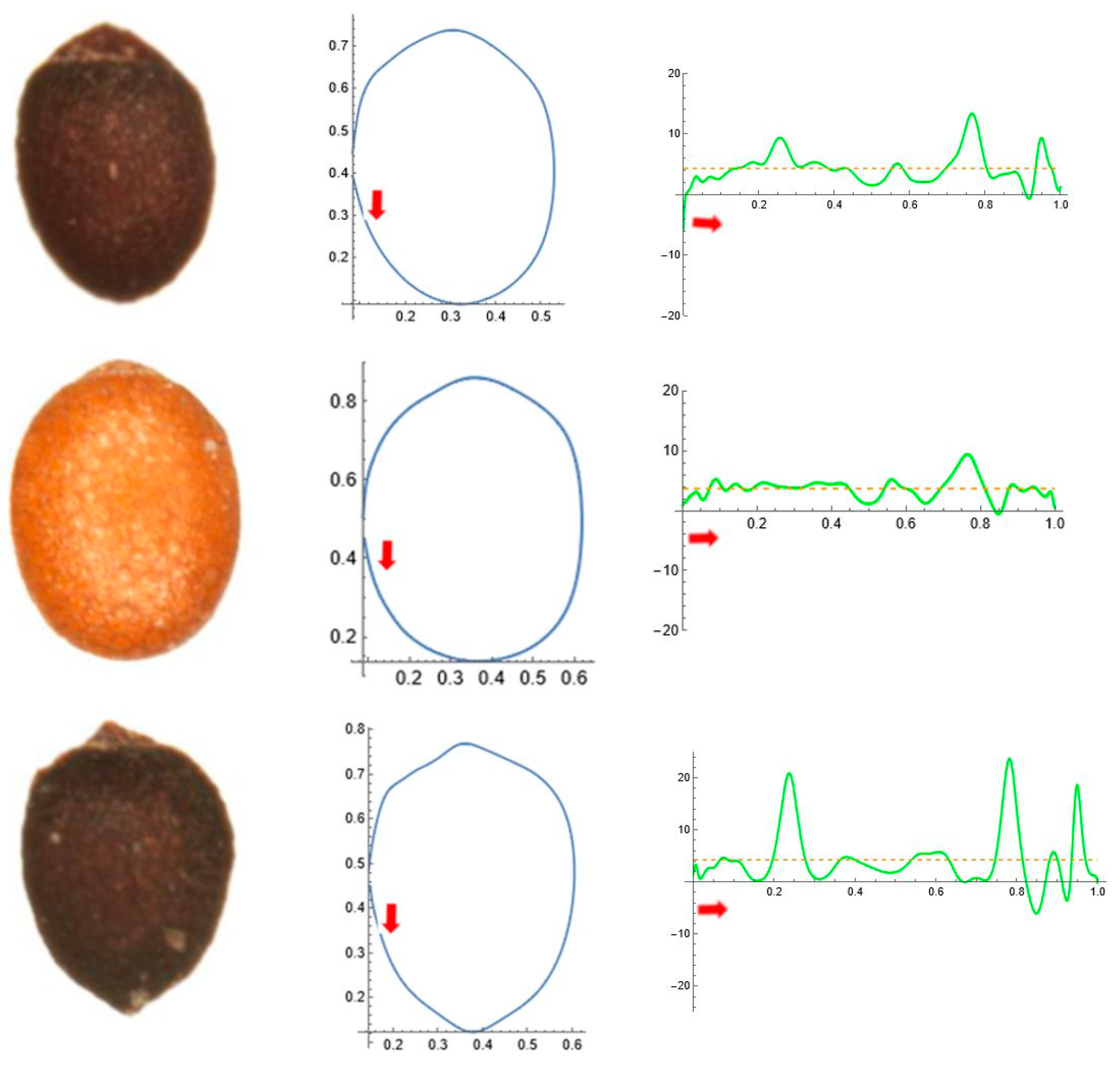 Horticulturae 11 00315 g006