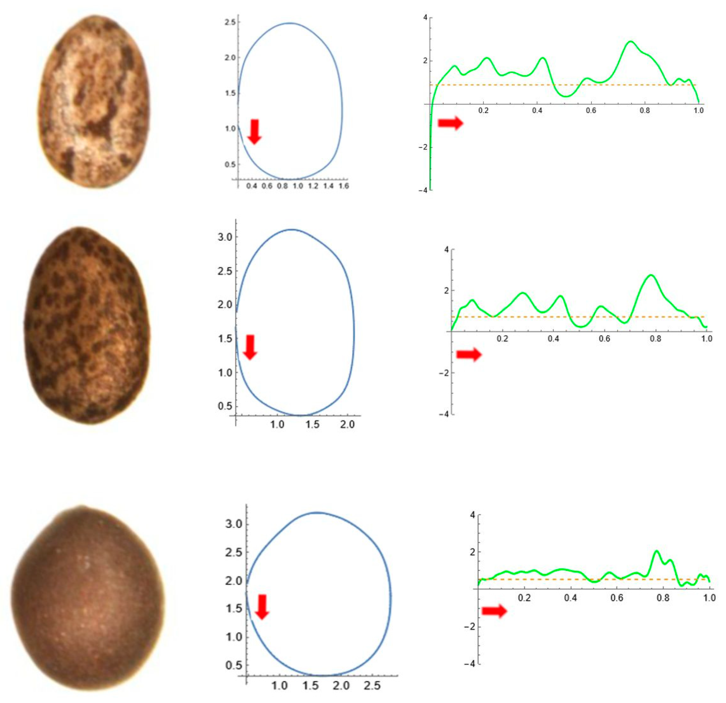 Horticulturae 11 00315 g007