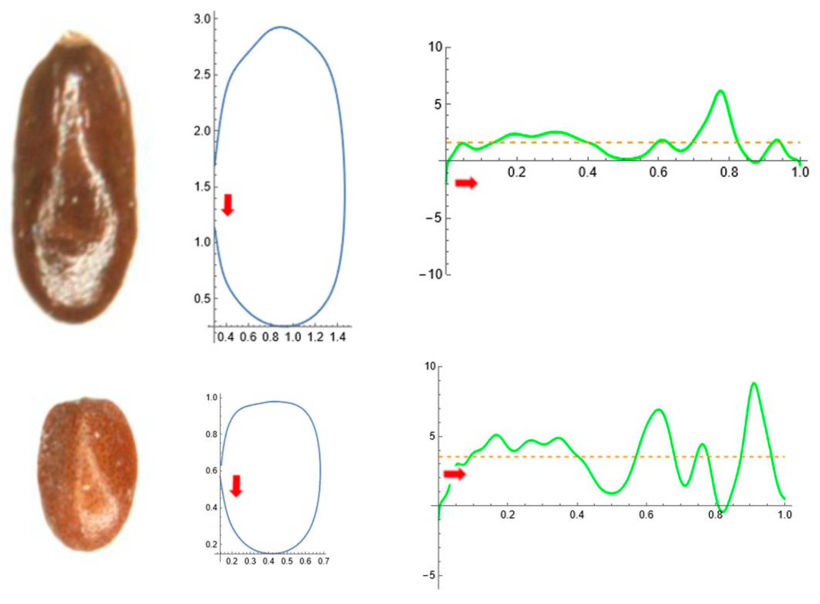 Horticulturae 11 00315 g010