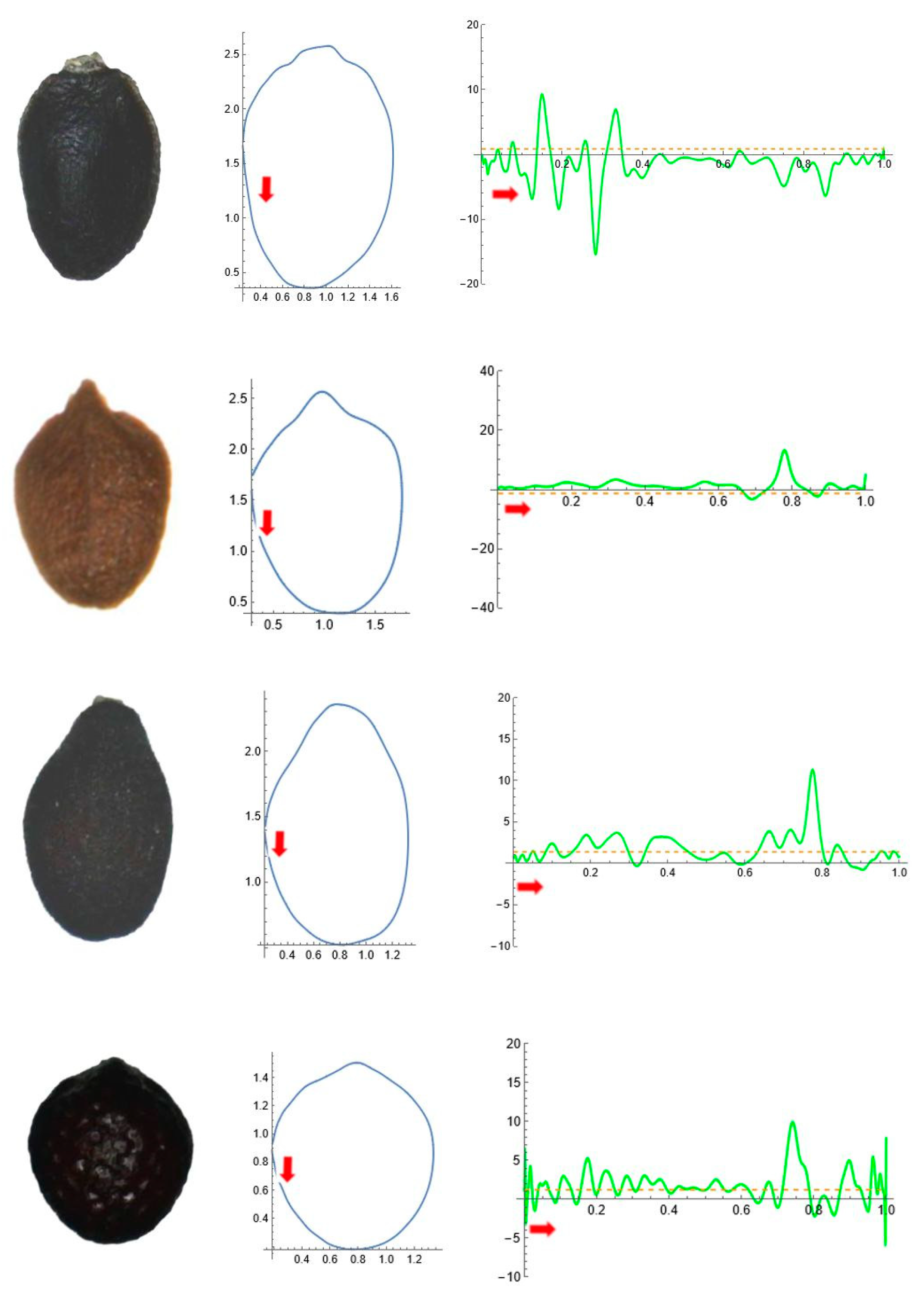 Horticulturae 11 00315 g011