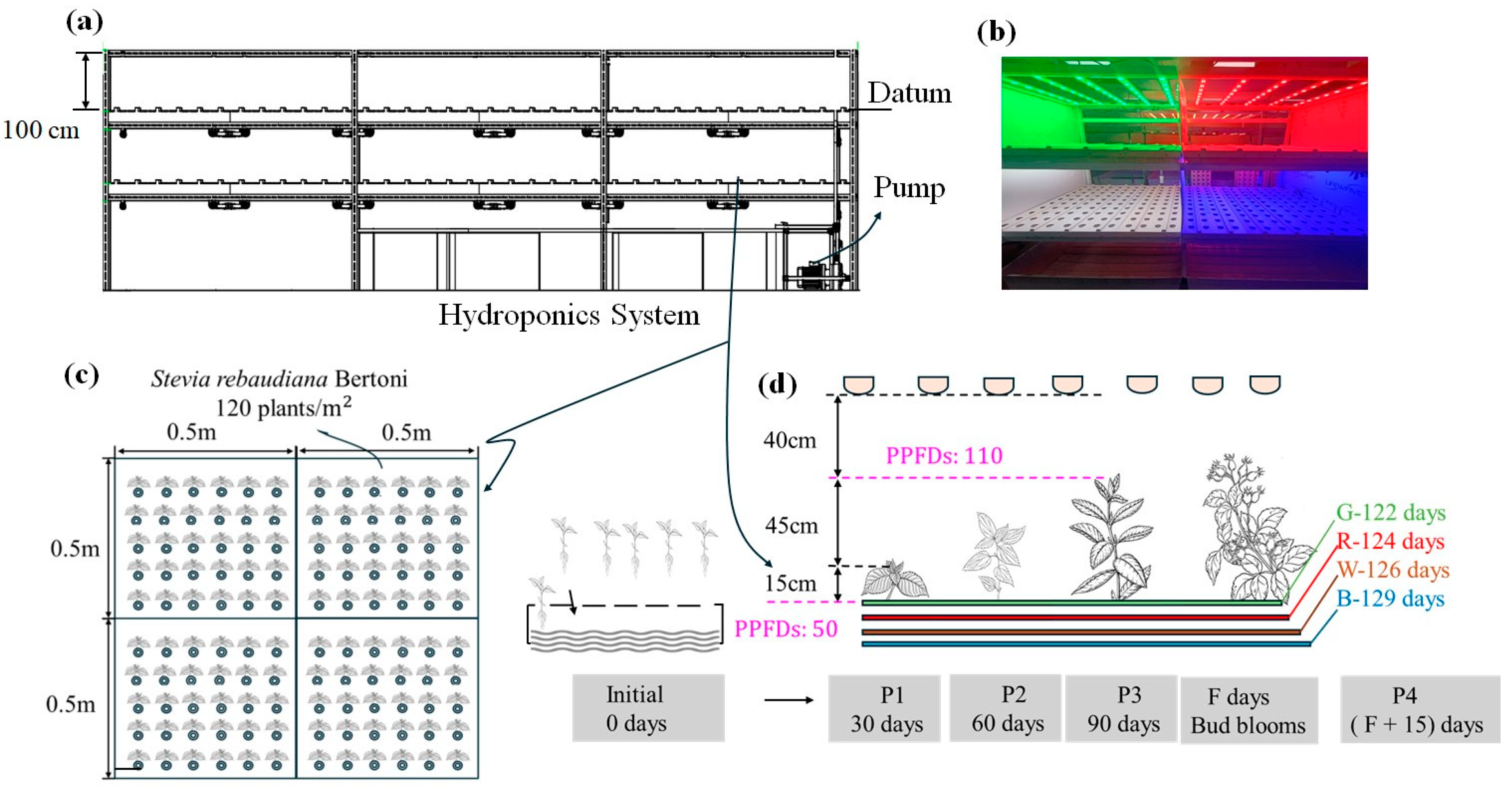 Horticulturae 11 00316 g003