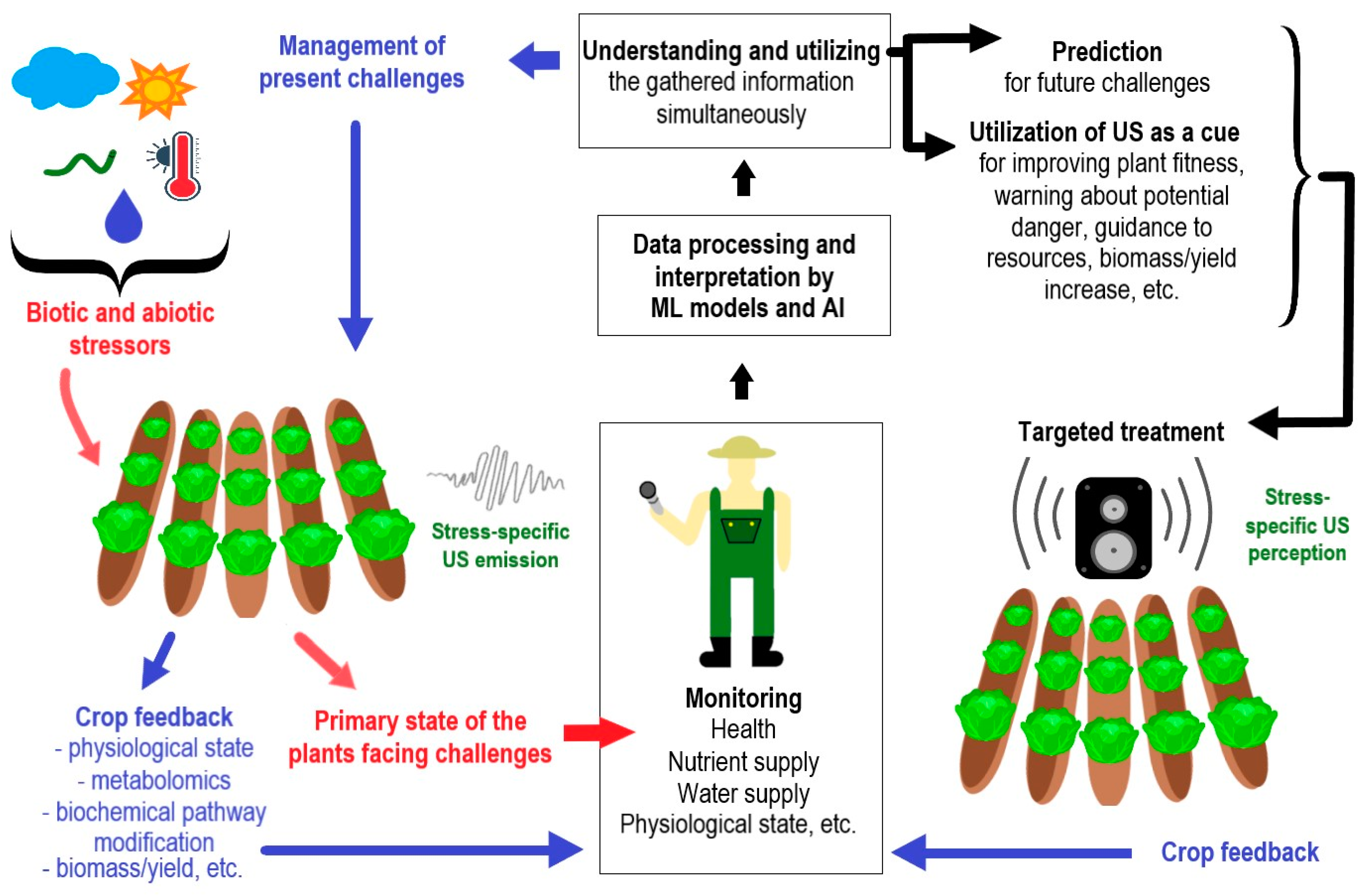 Horticulturae 11 00318 g002 Horticulturae 11 00318 g002