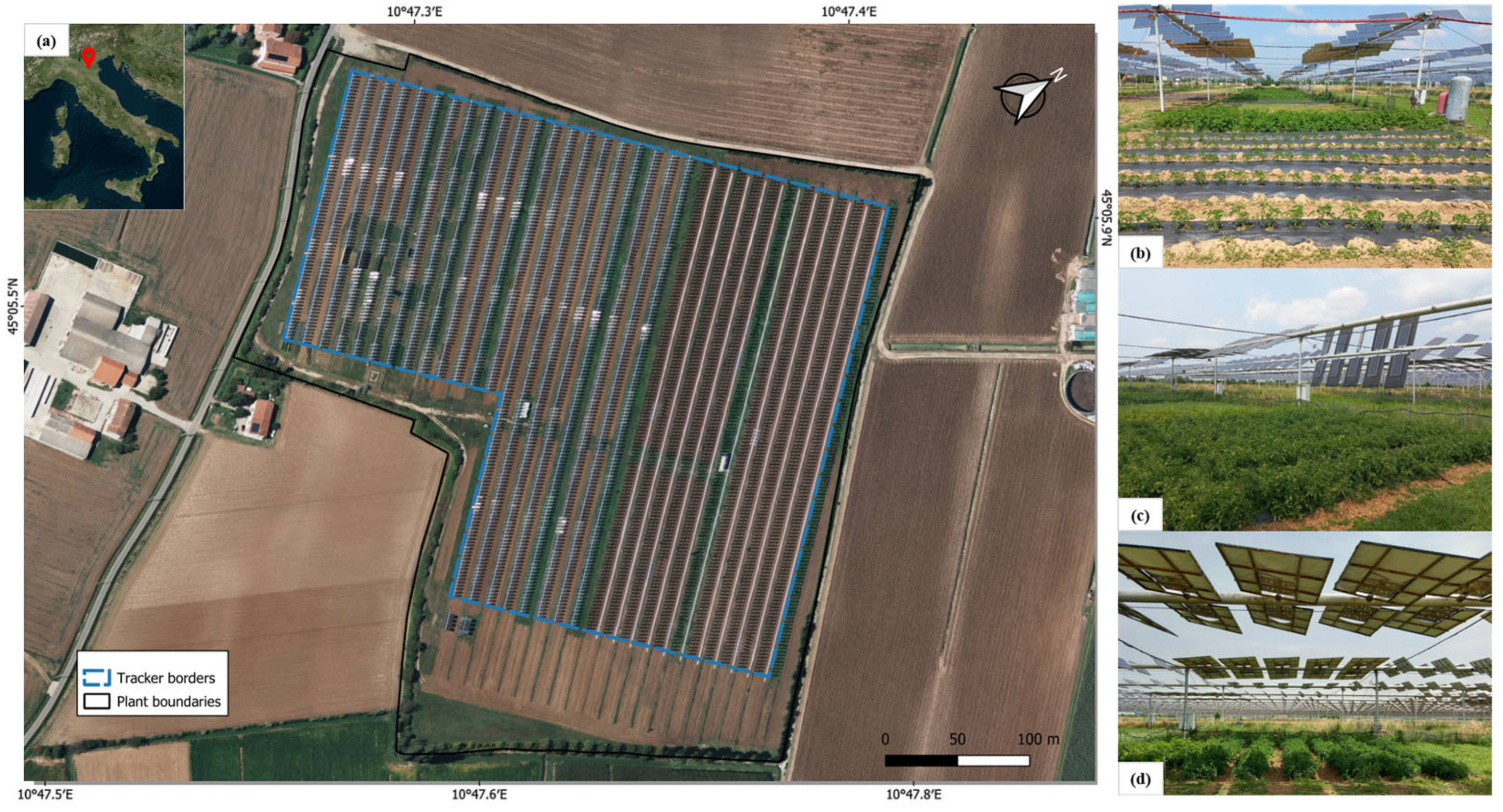 Horticulturae 11 00319 g001