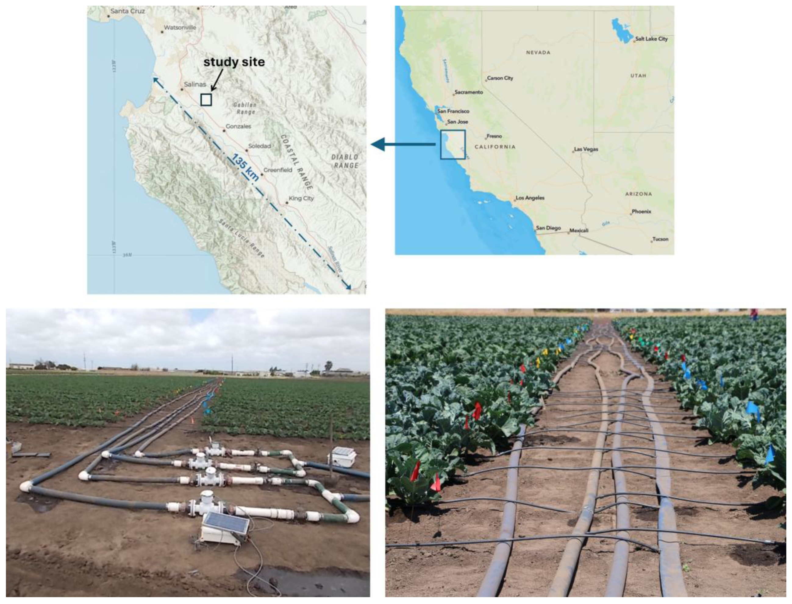 Horticulturae 11 00322 g001