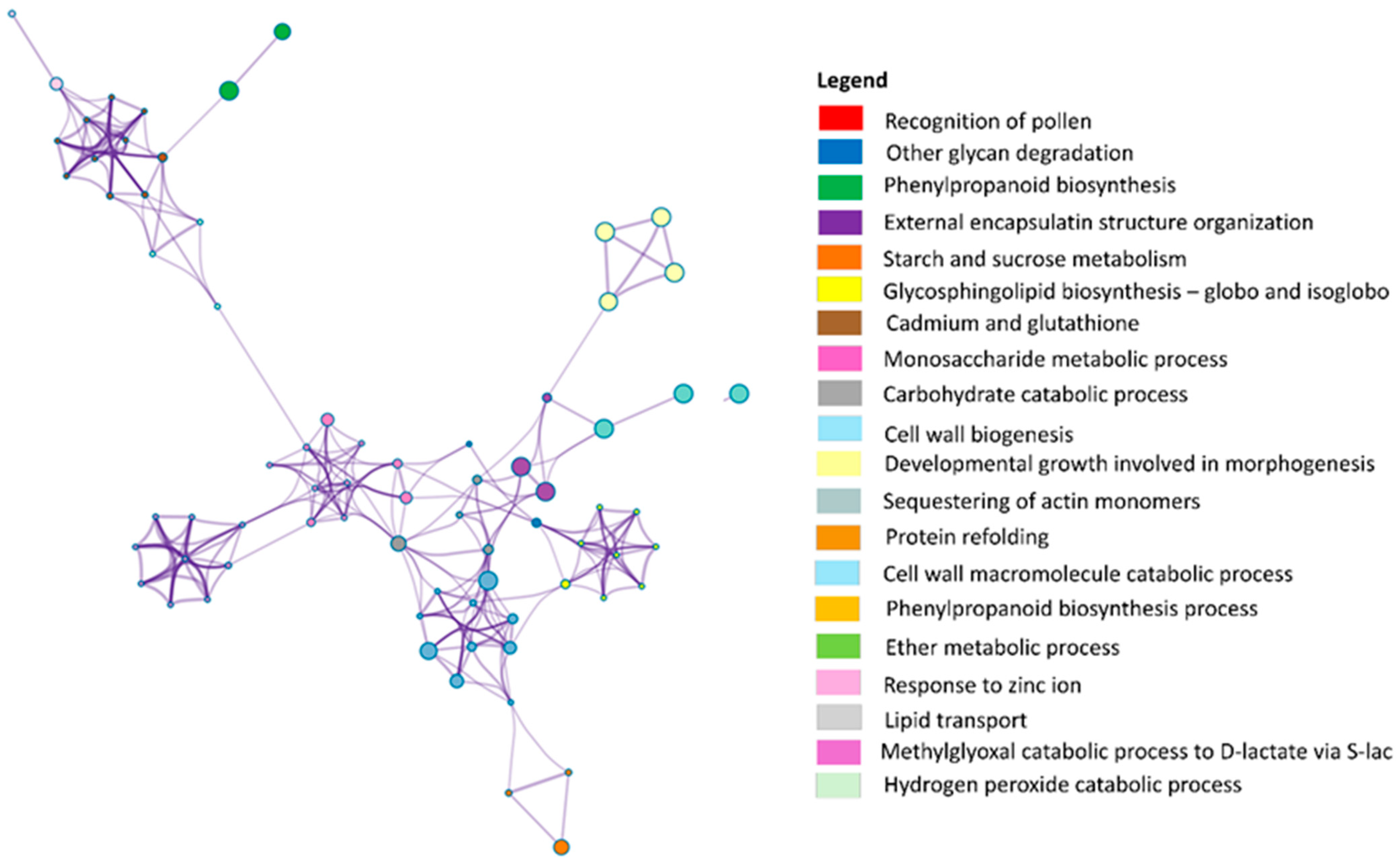 Horticulturae 11 00331 g004
