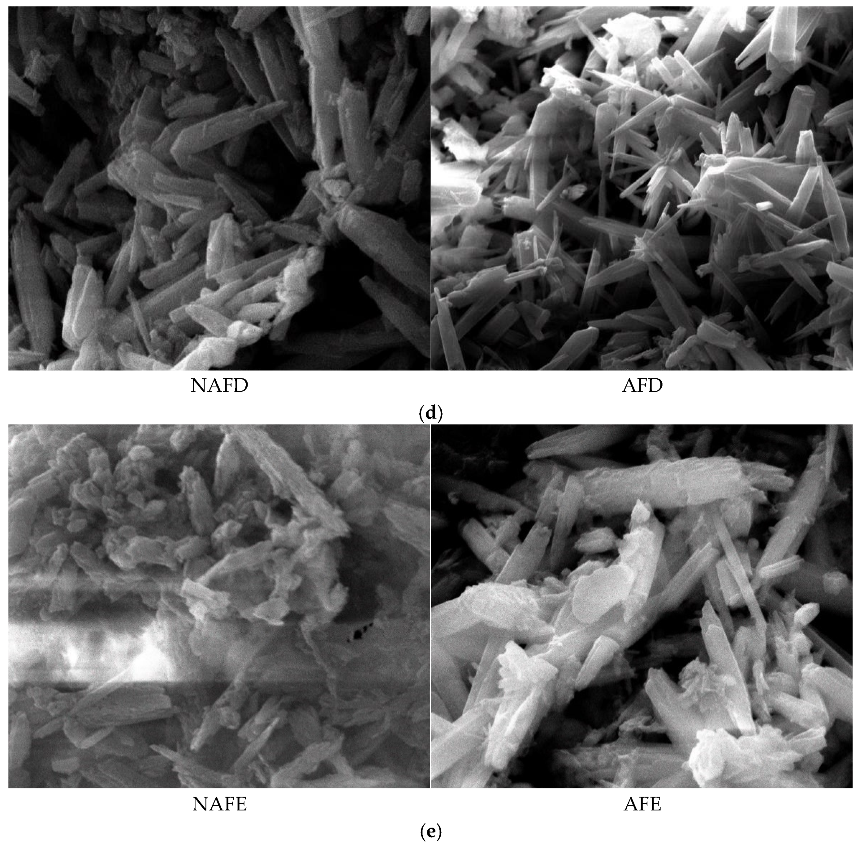 Horticulturae 11 00333 g007b