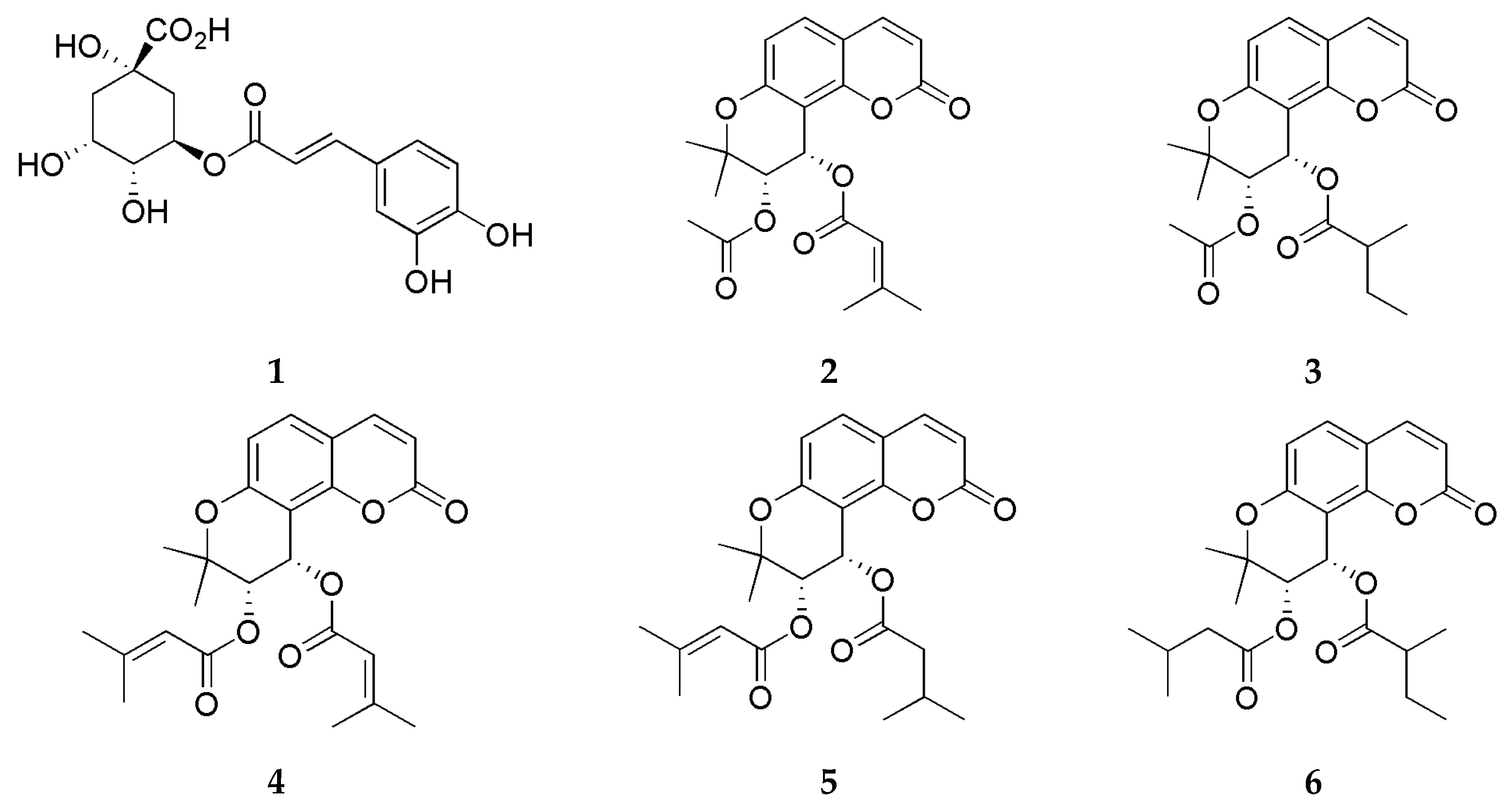 Horticulturae 11 00334 g002