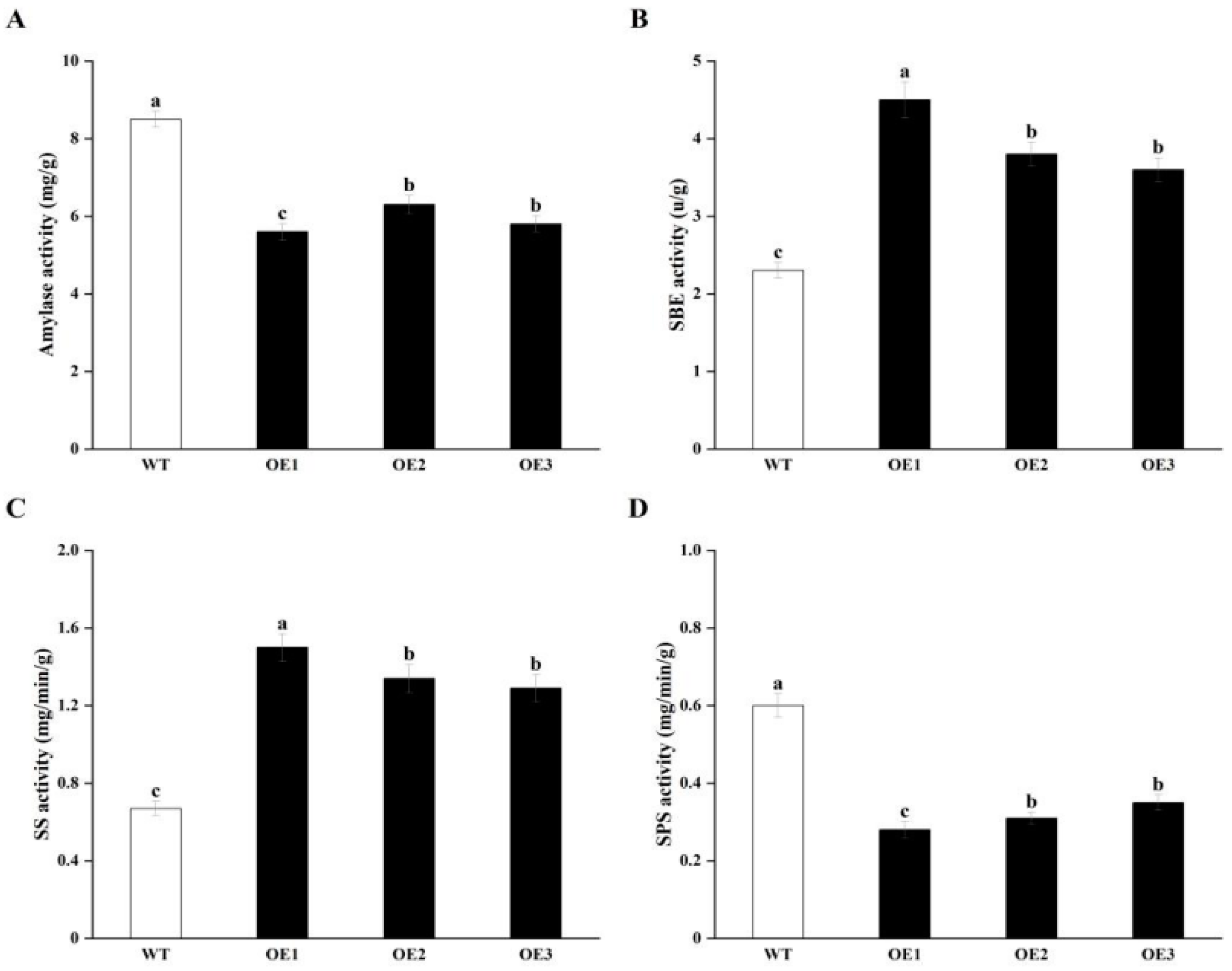 Horticulturae 11 00342 g004