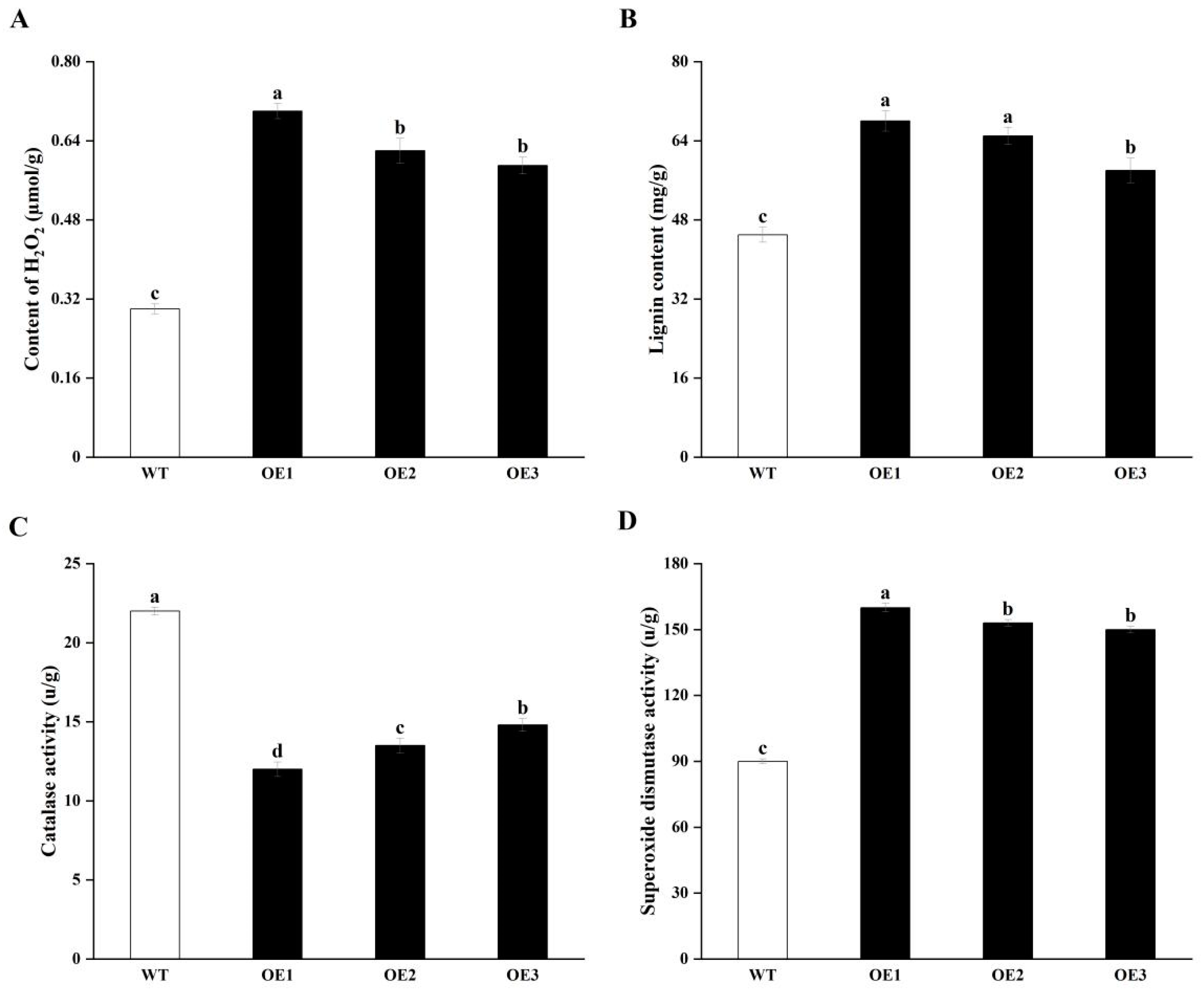 Horticulturae 11 00342 g005