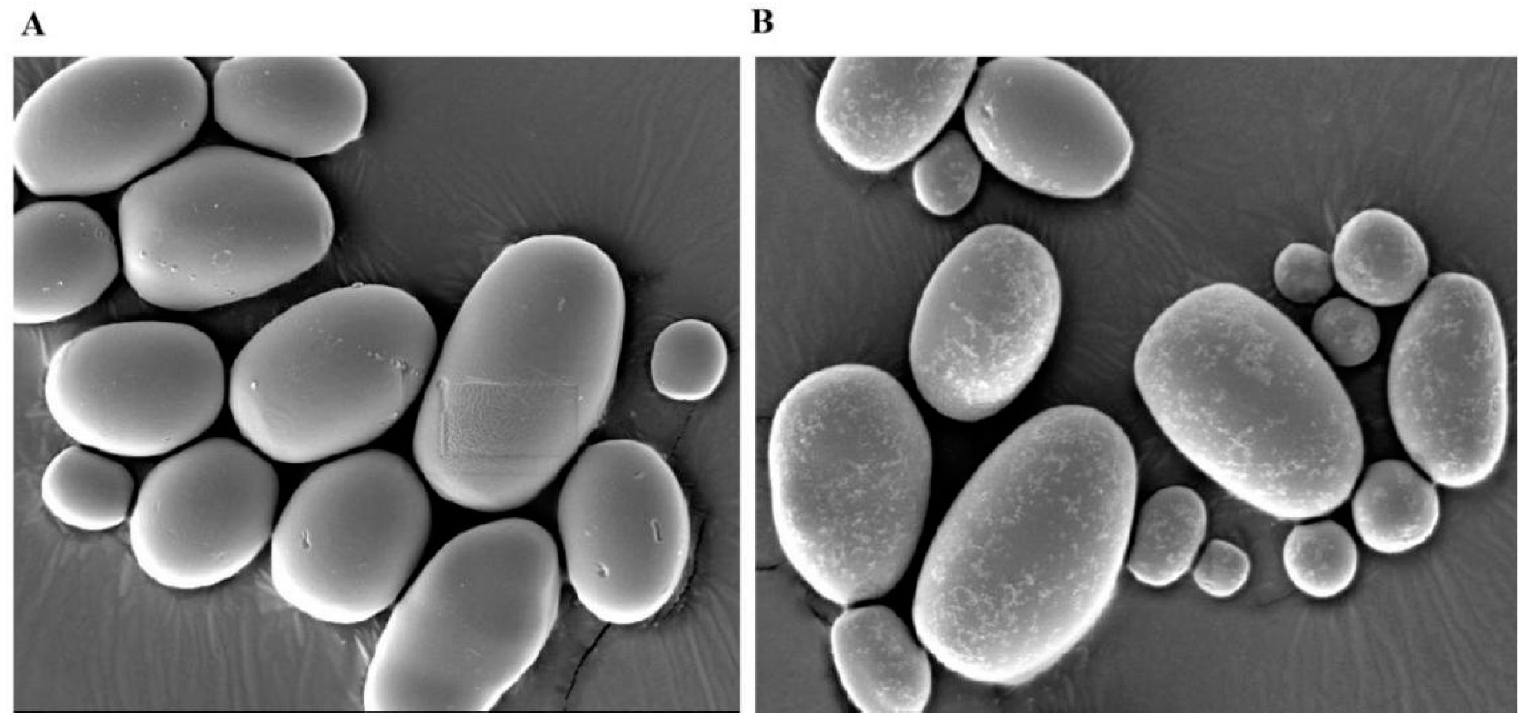 Horticulturae 11 00342 g008