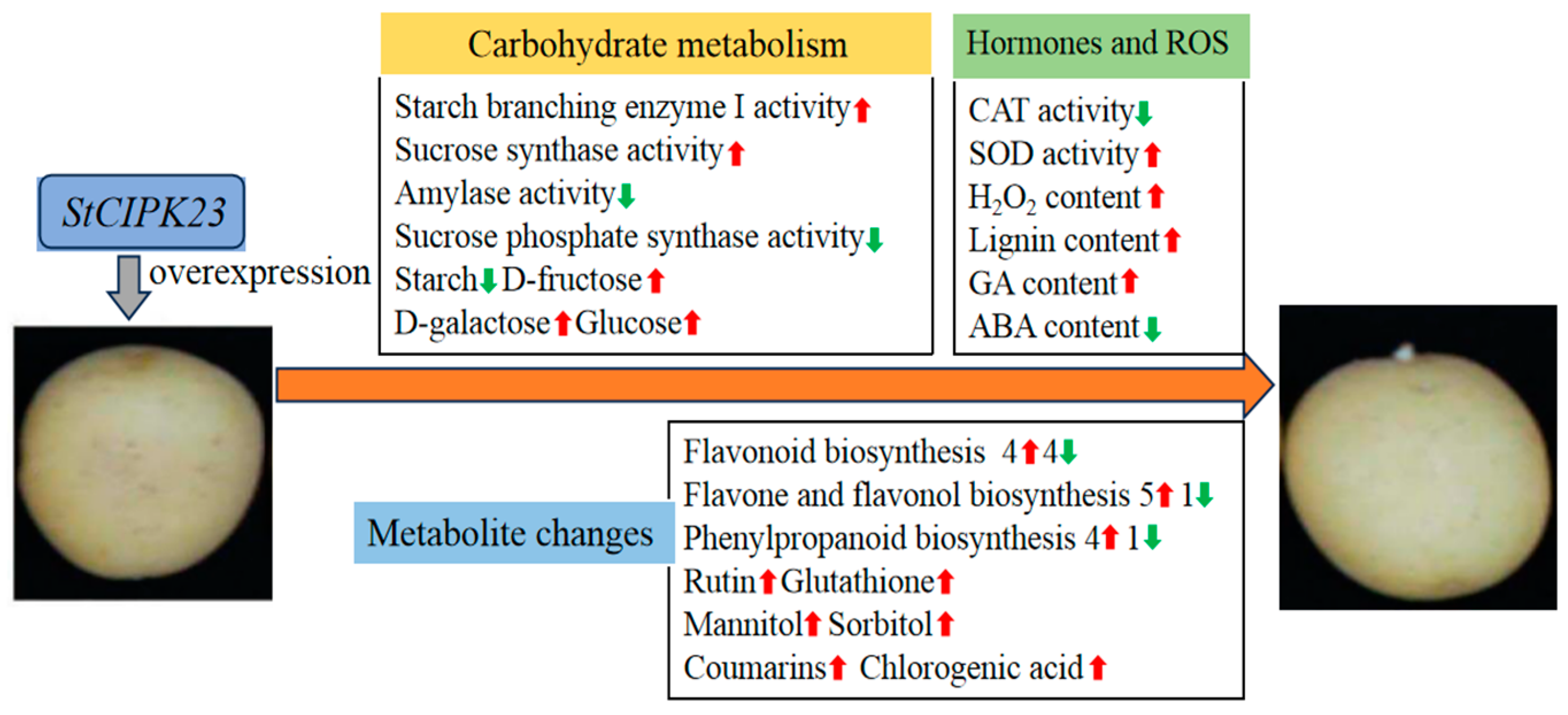 Horticulturae 11 00342 g010