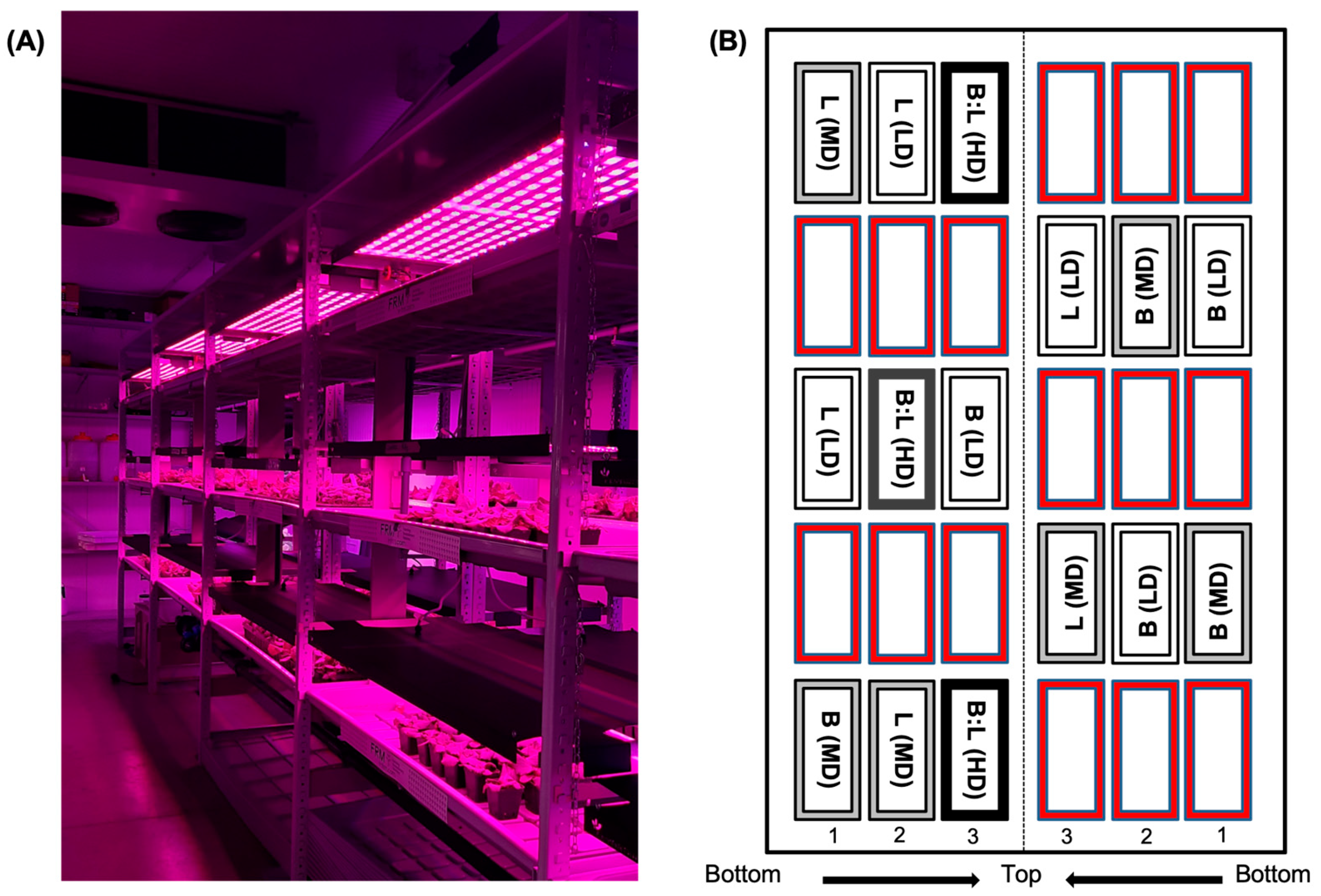 Horticulturae 11 00343 g001