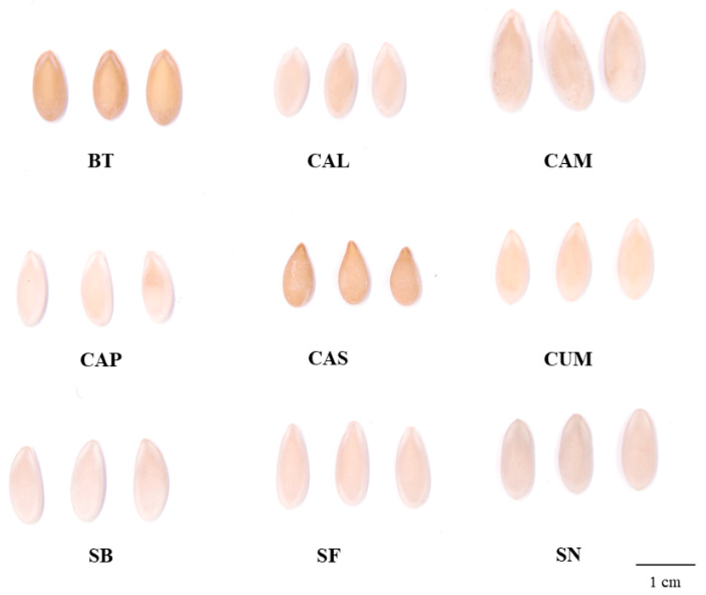 Horticulturae 11 00344 g003 Horticulturae 11 00344 g003