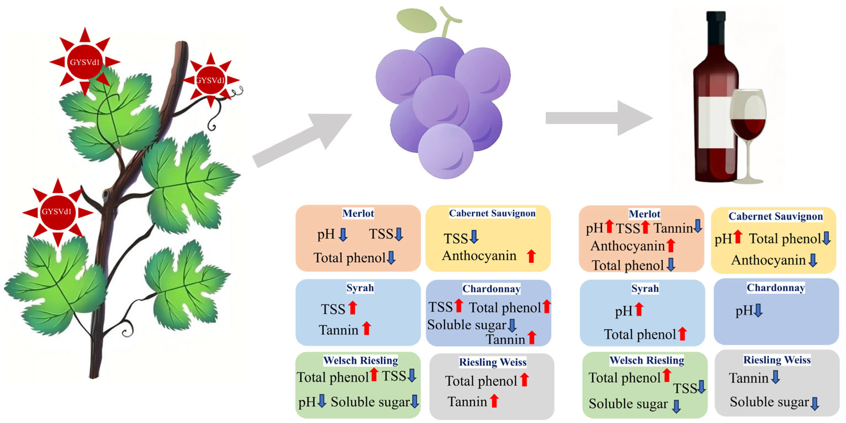 Horticulturae 11 00345 g008
