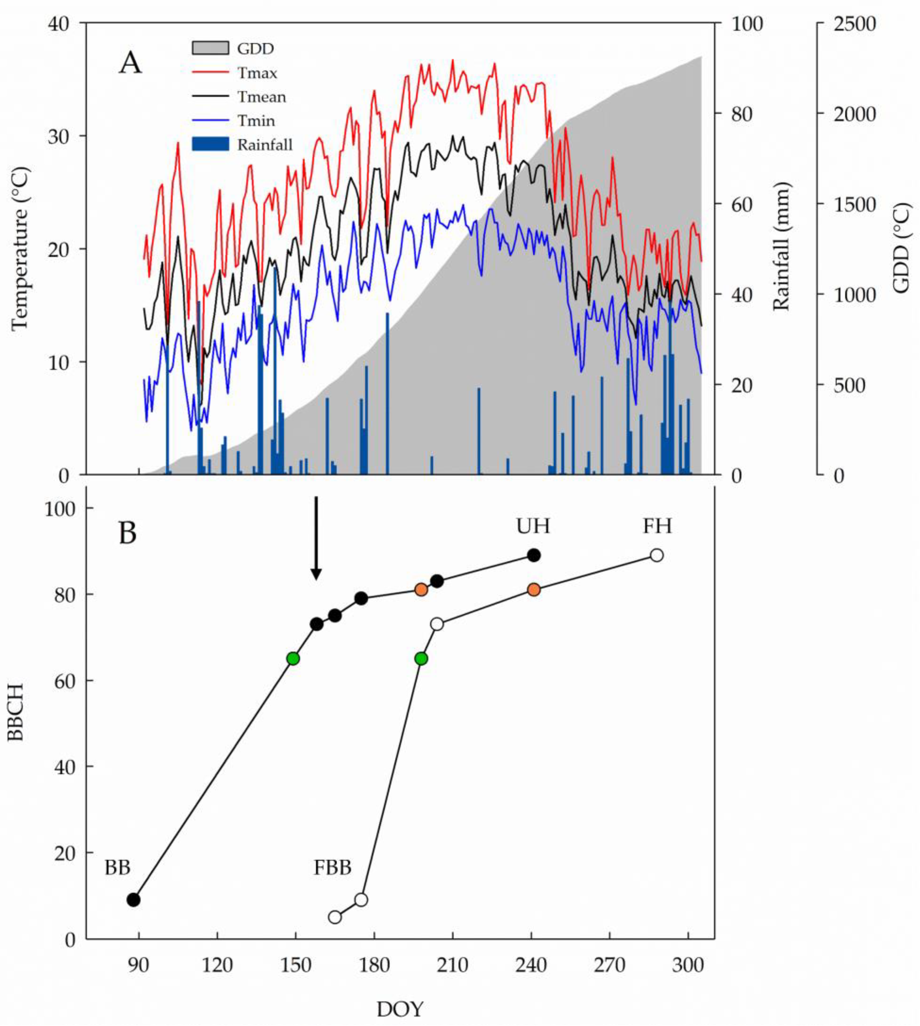 Horticulturae 11 00346 g001