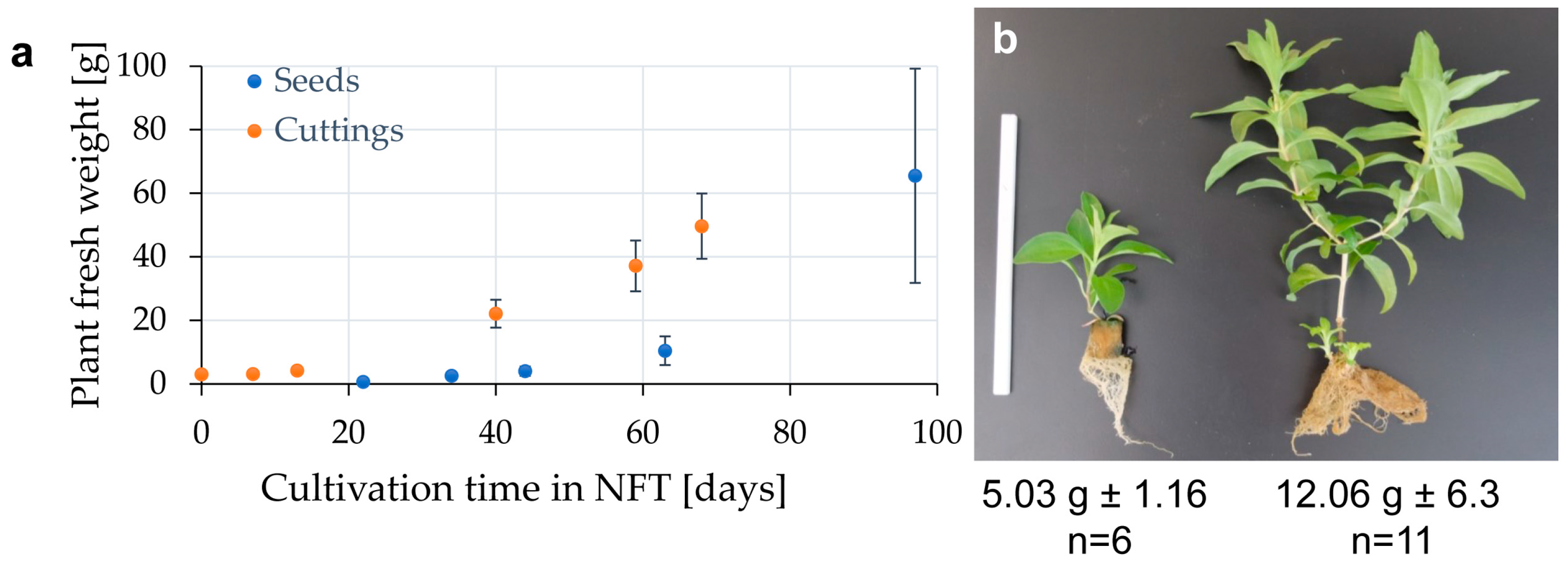 Horticulturae 11 00353 g001