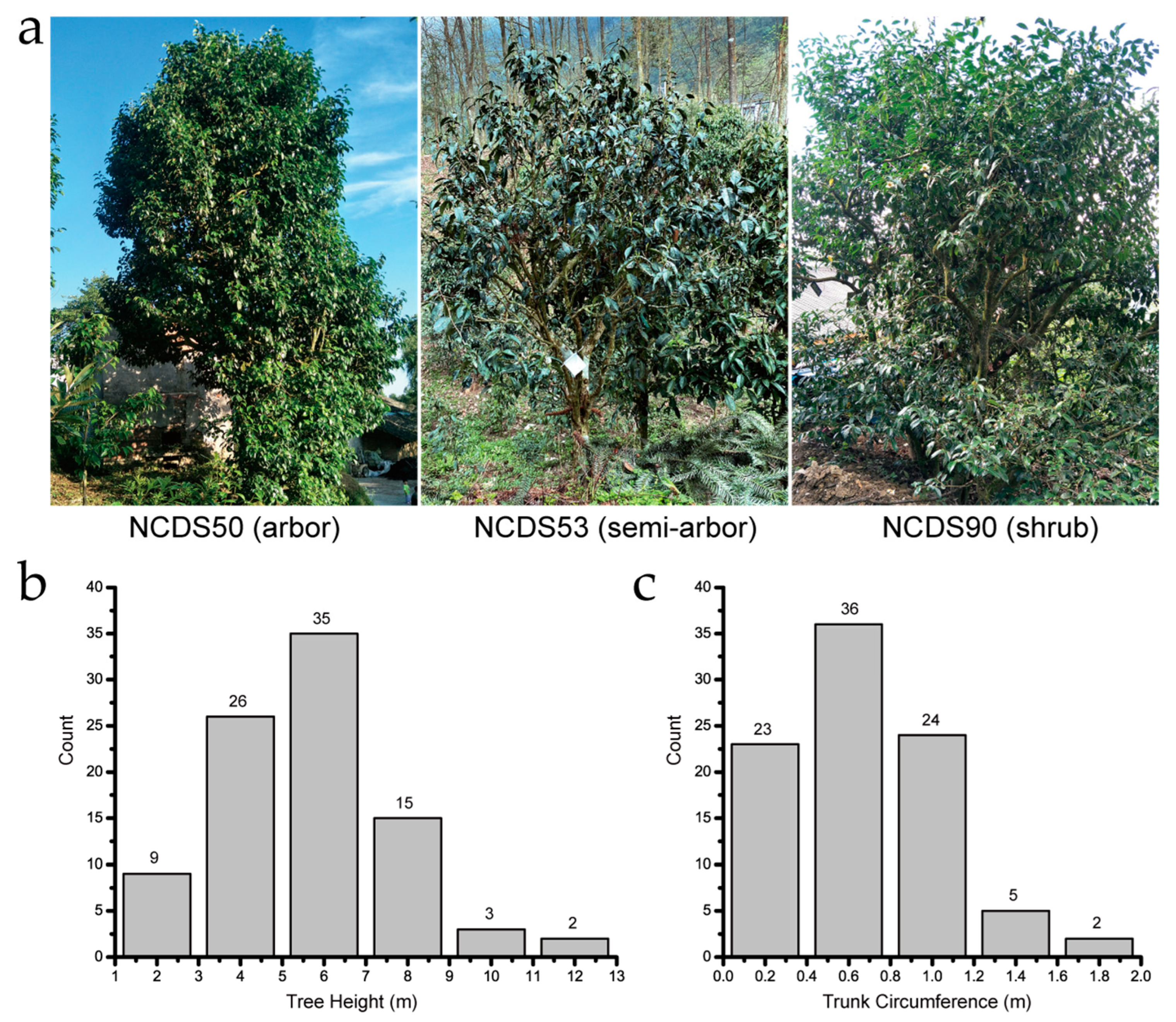 Horticulturae 11 00360 g001