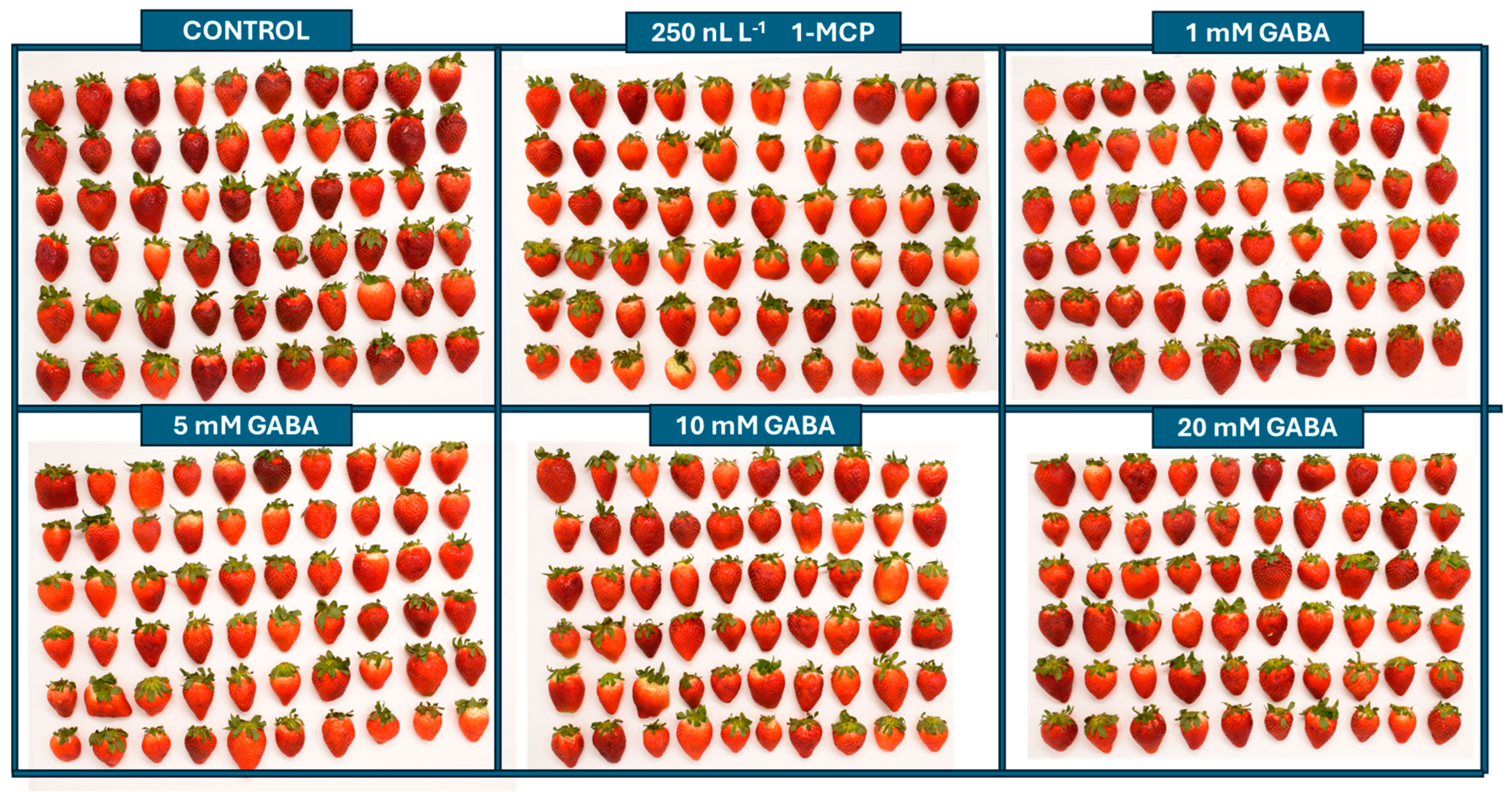 Horticulturae 11 00370 g005