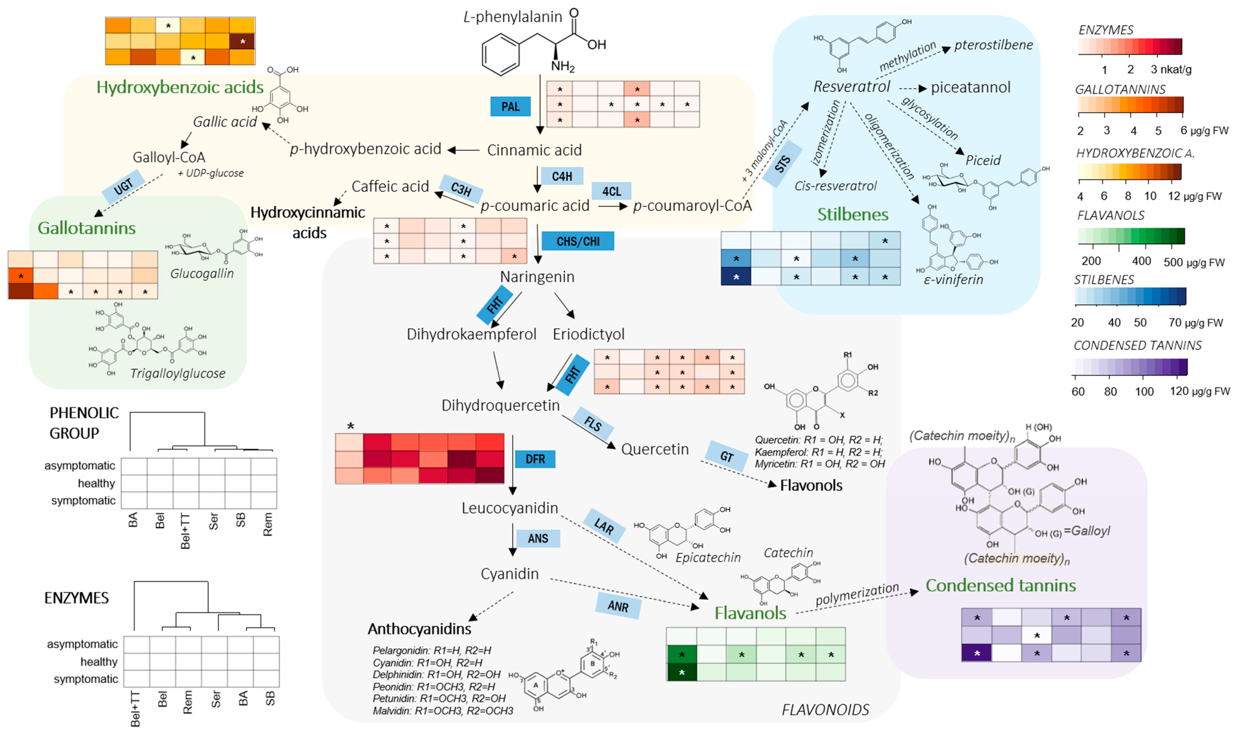 Horticulturae 11 00371 g004