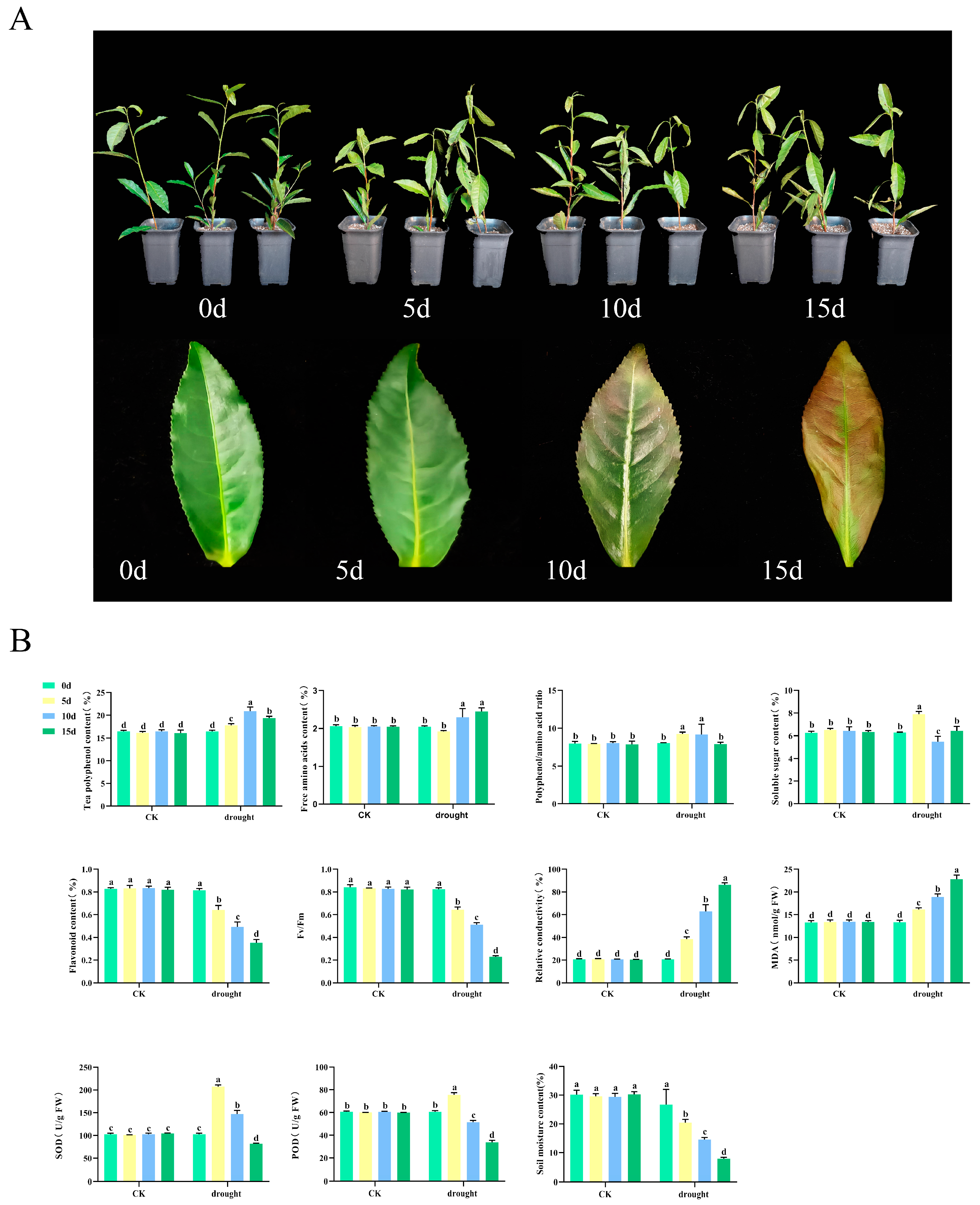 Horticulturae 11 00373 g001