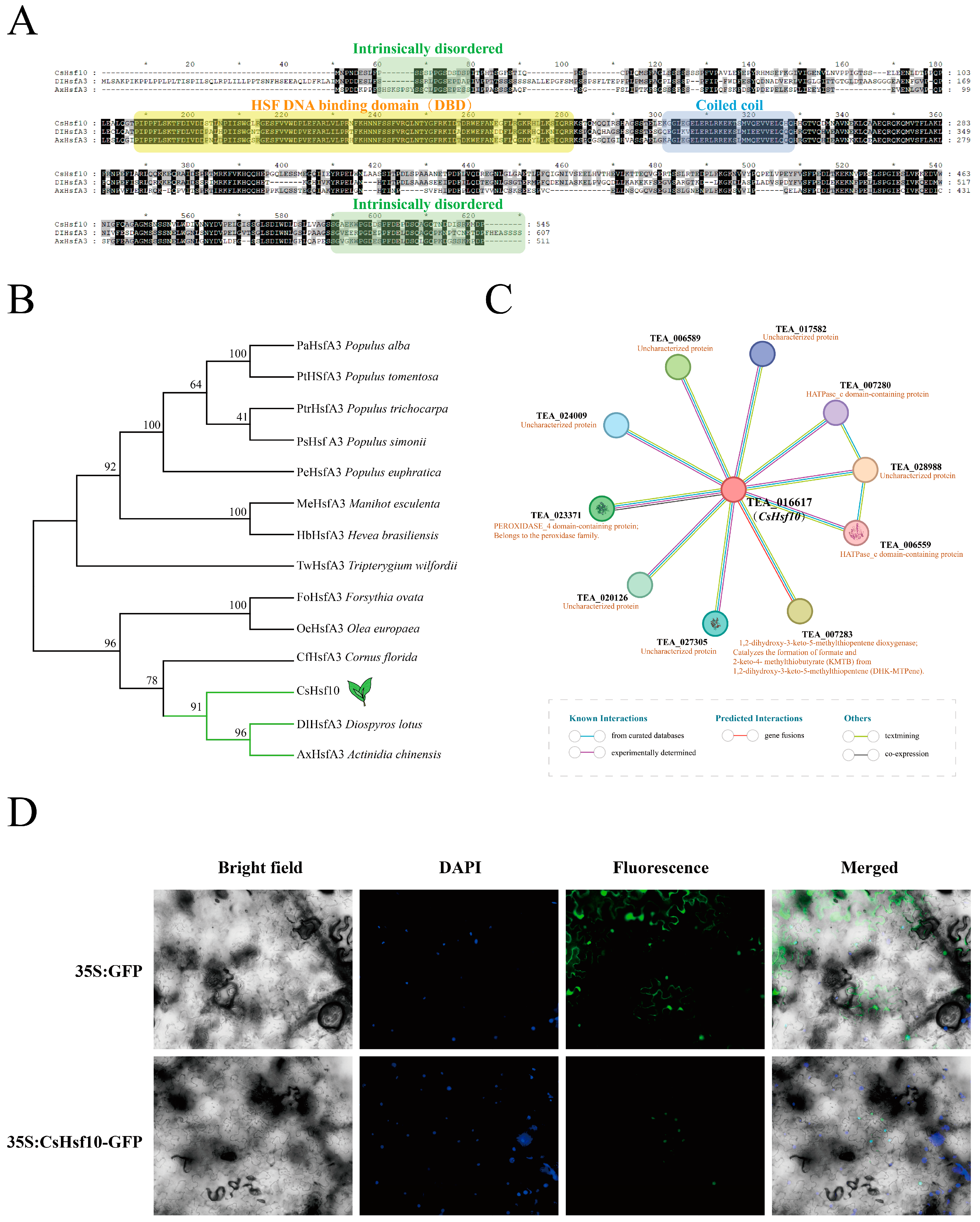 Horticulturae 11 00373 g003