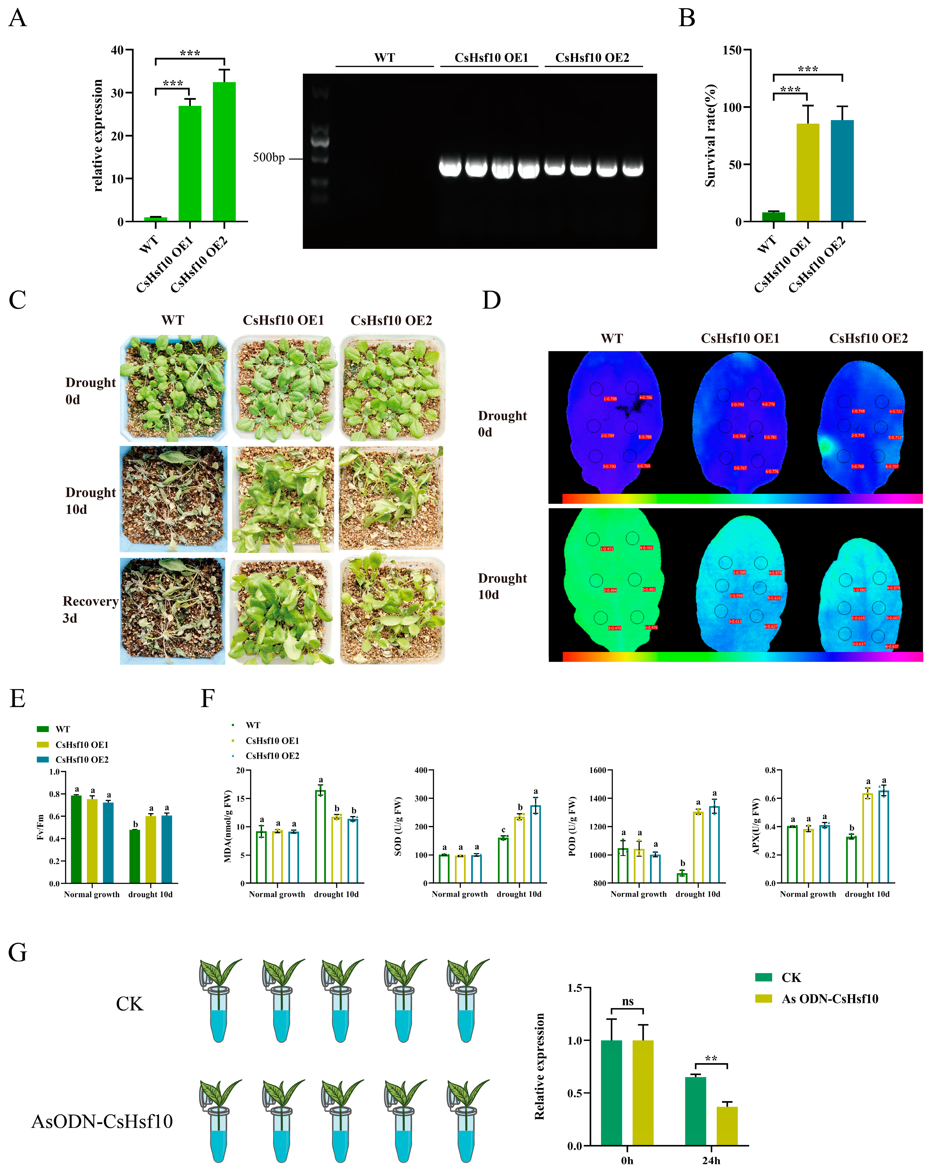 Horticulturae 11 00373 g004